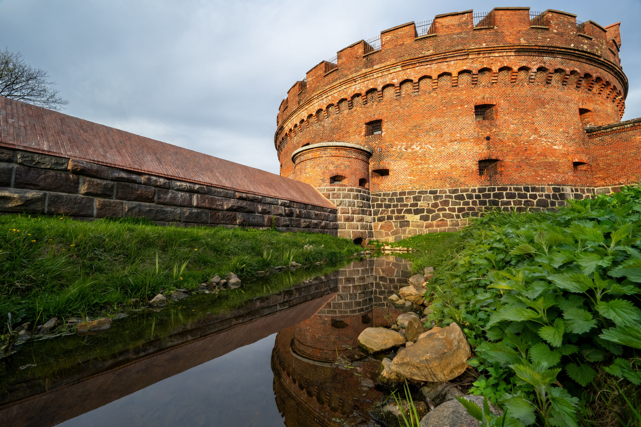 Калининград. Видение Константина Борунова