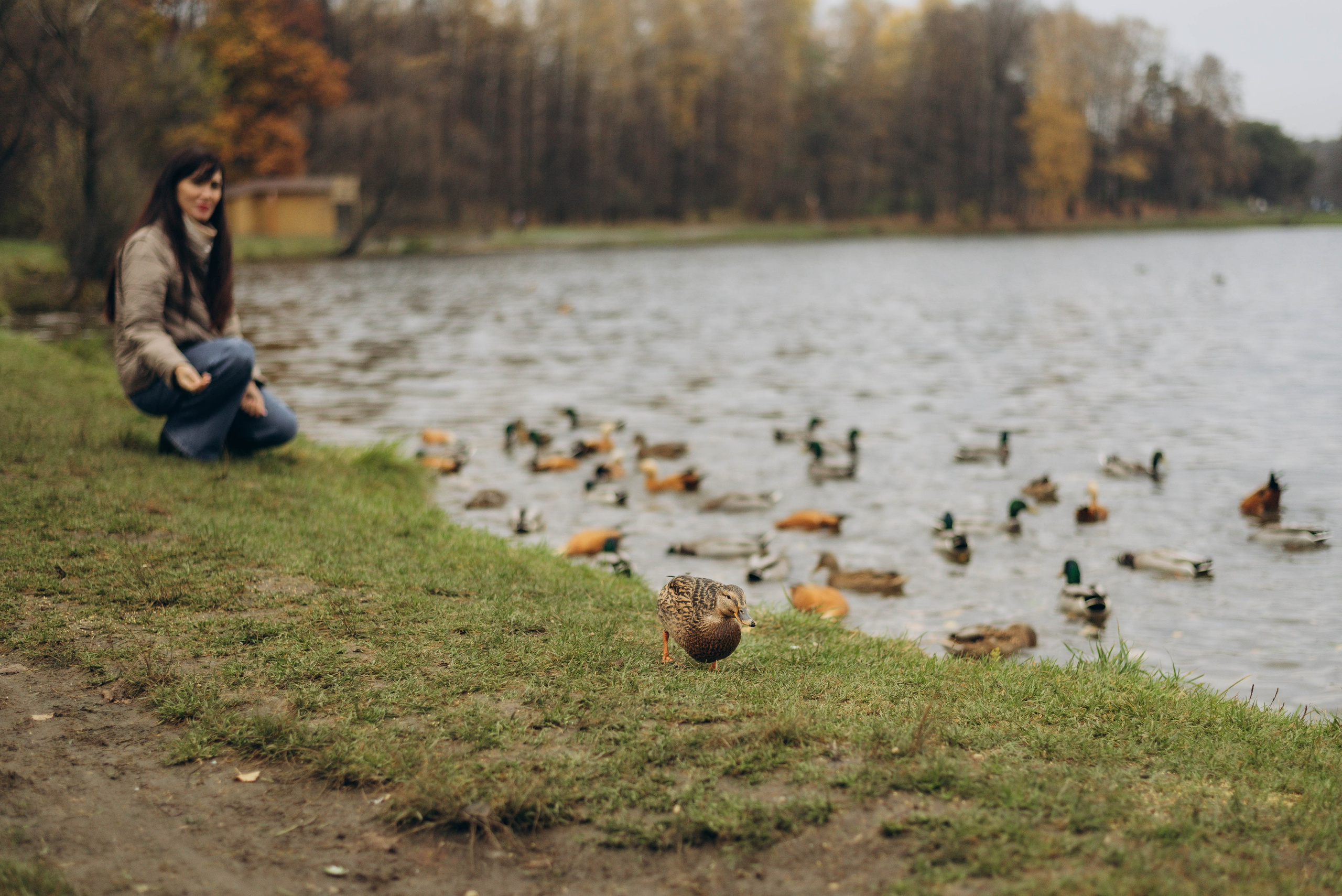 Прогулочная фотоссесия для девушки в парке. Семейный фотограф в Железнодорожном Масаева Елена