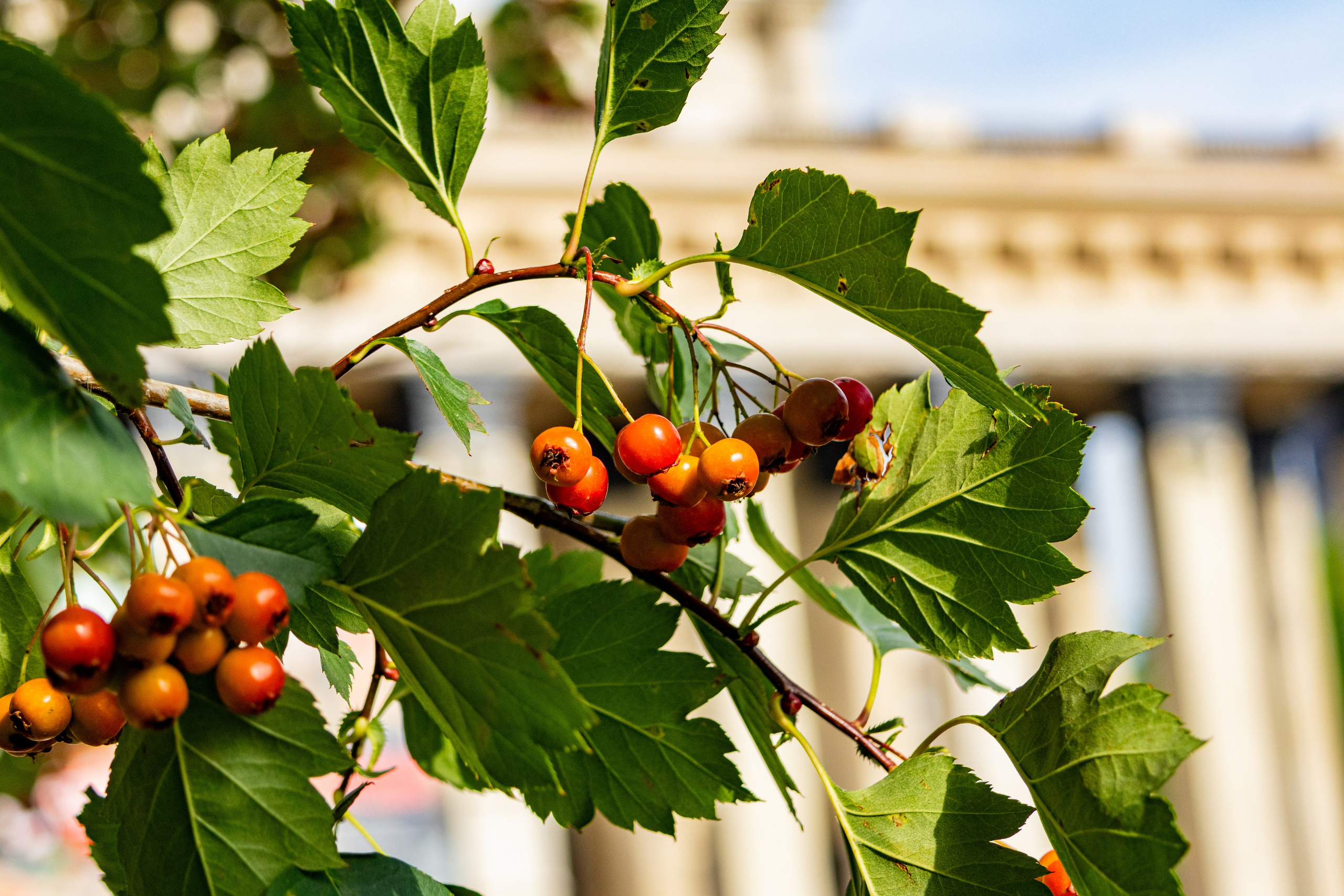 Новосибирск. Jean De Vivre Gallery