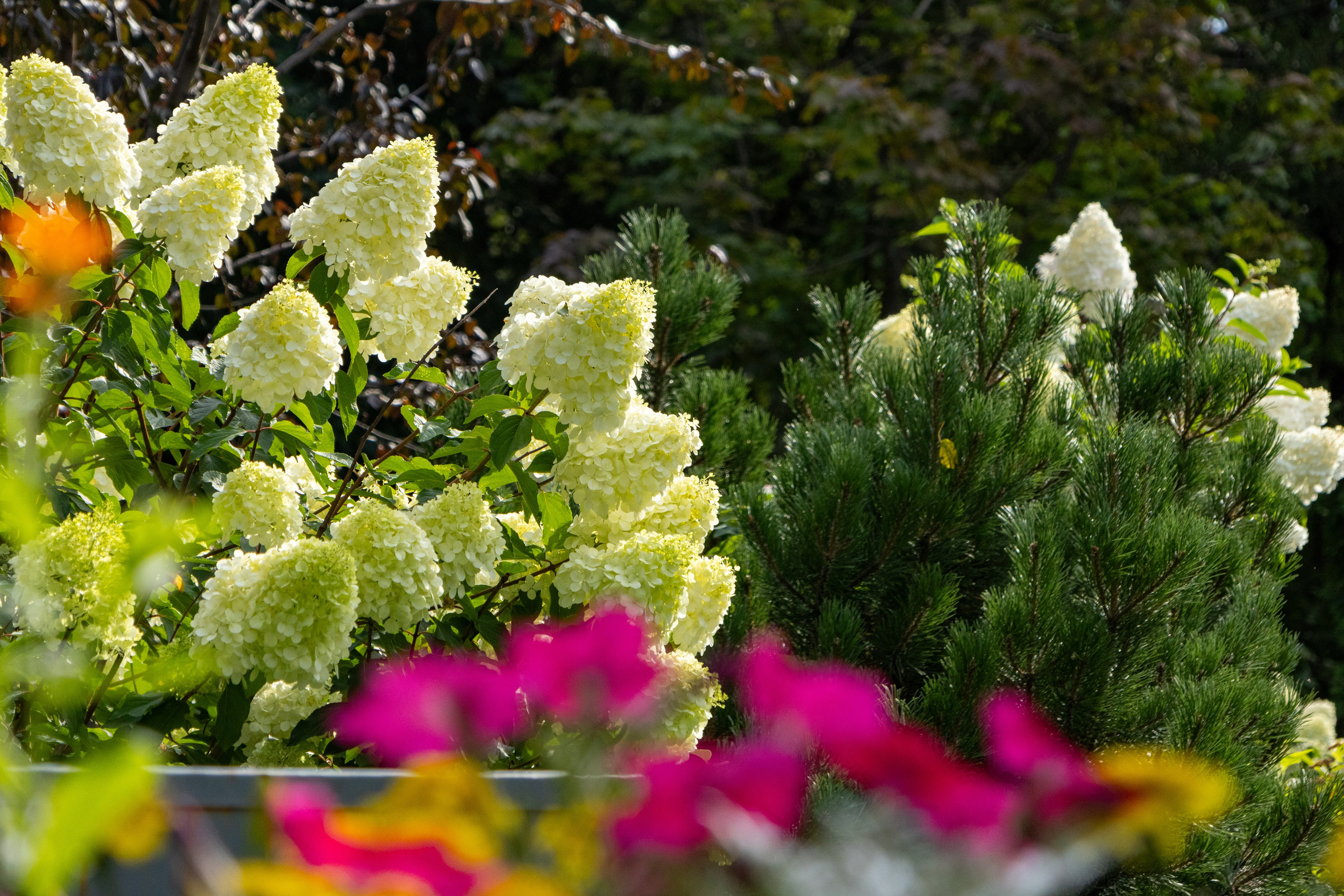 Екатеринбург. Jean De Vivre Gallery