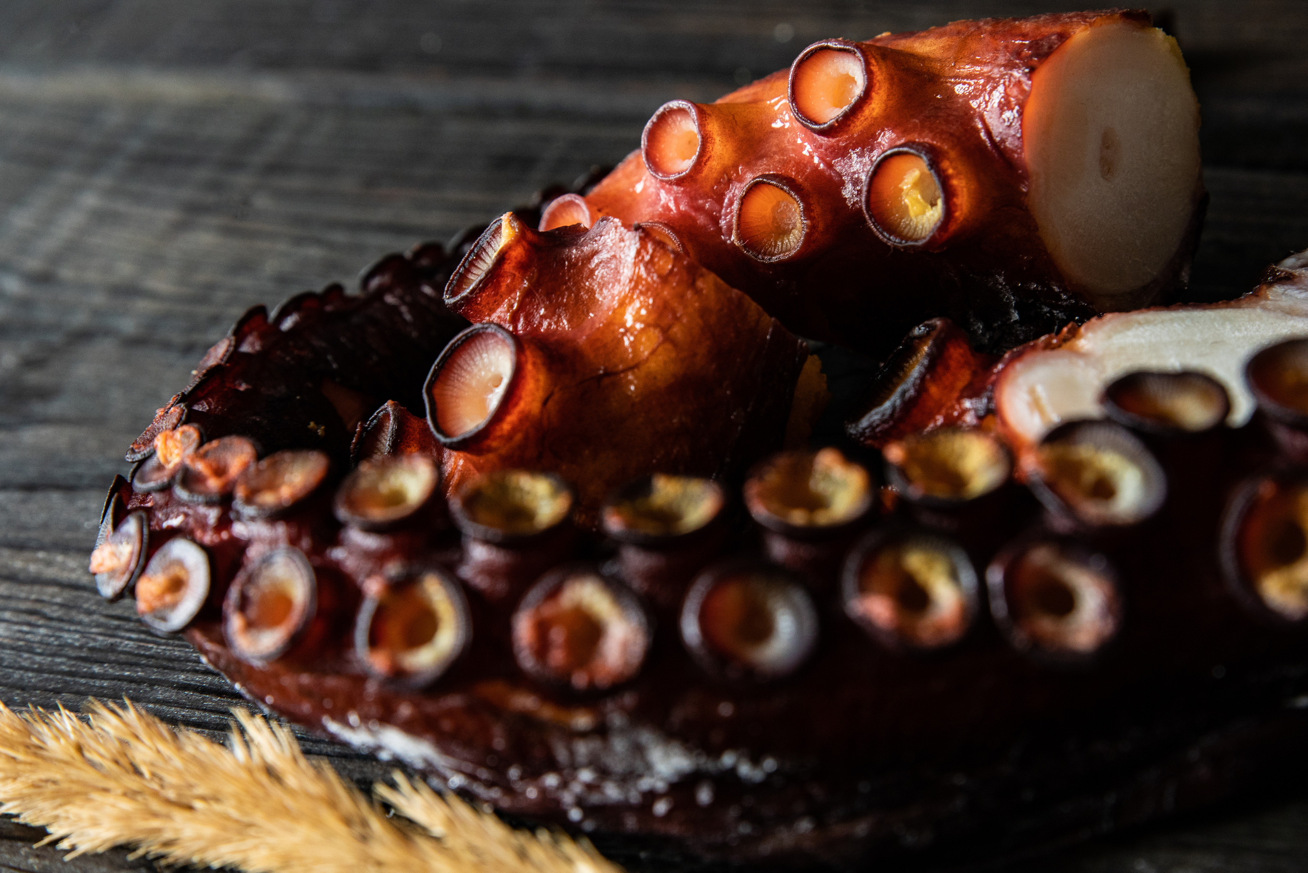 Food-фотография. Семейный и частный фотограф во Владивостоке