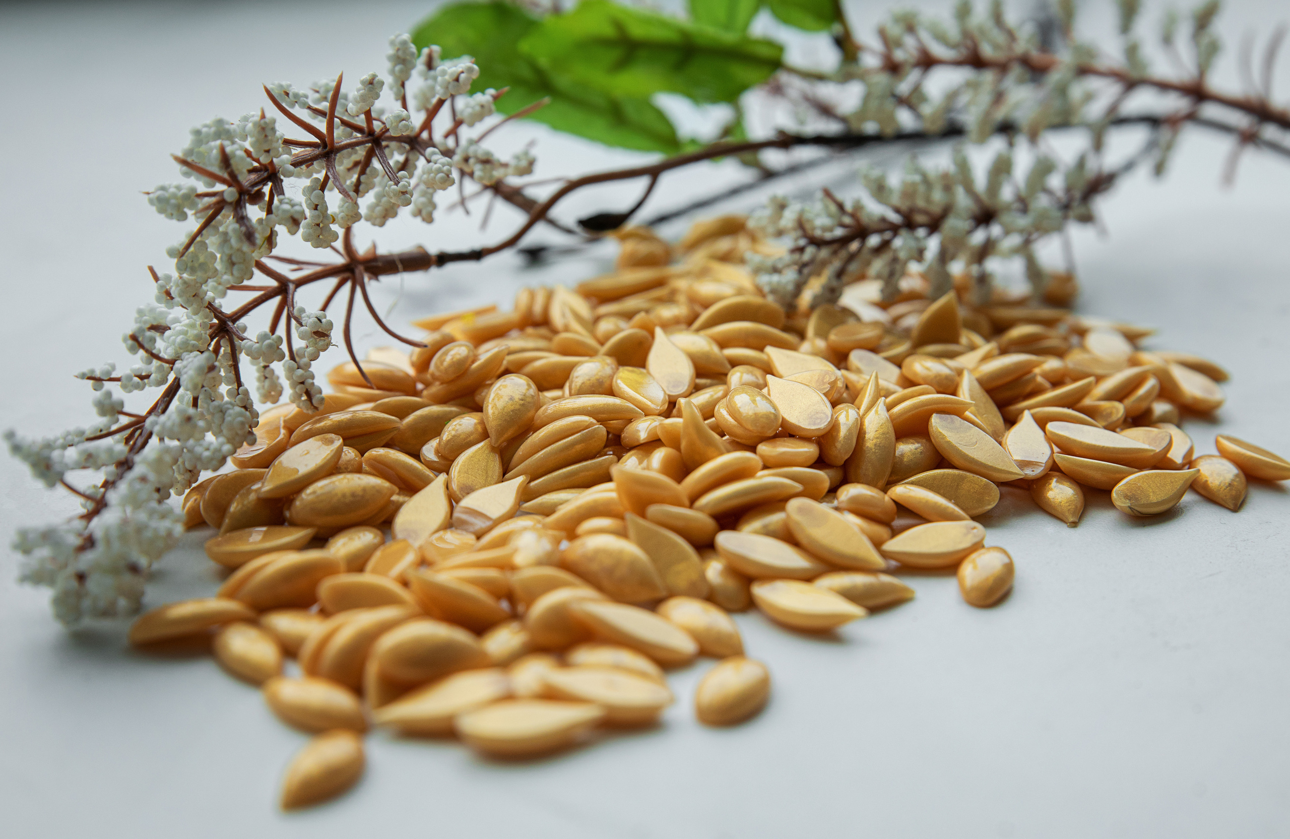 Предметная. Семейный и частный фотограф во Владивостоке