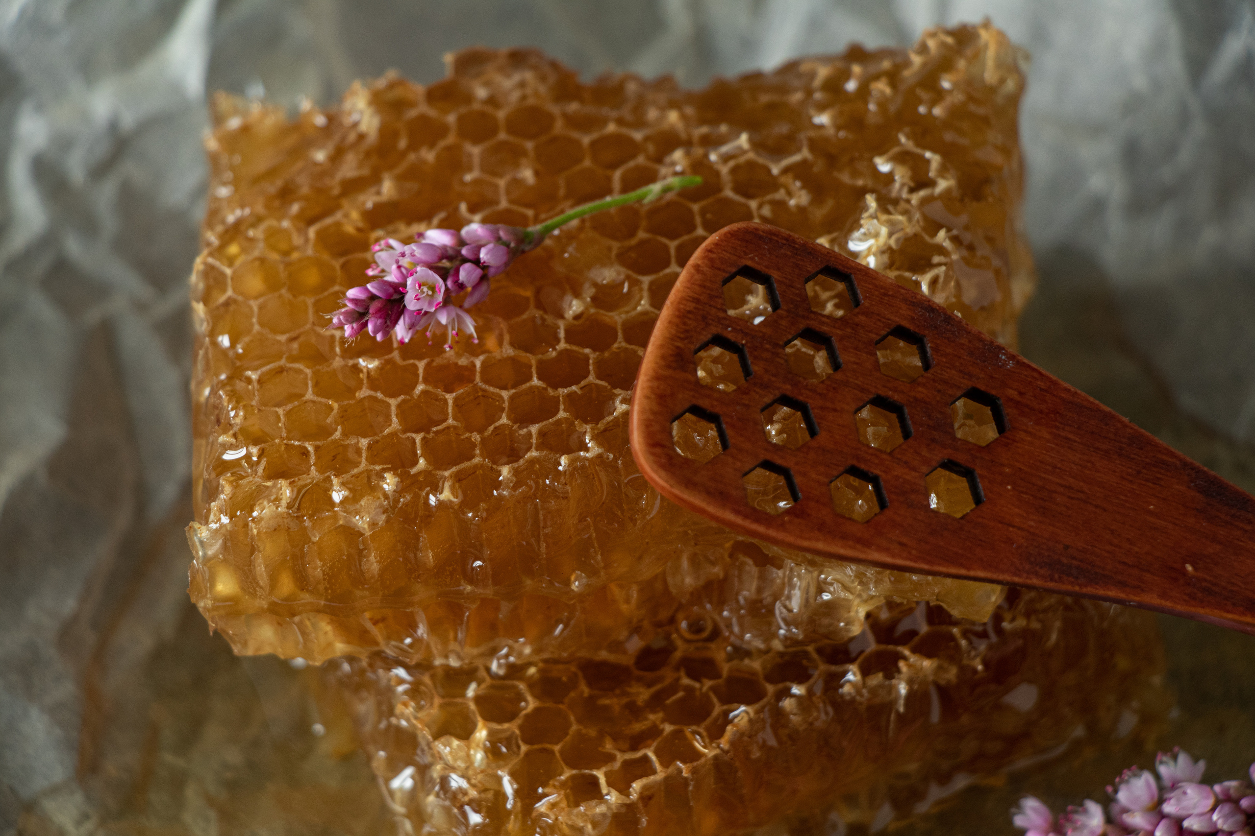 Food-фотография. Семейный и частный фотограф во Владивостоке