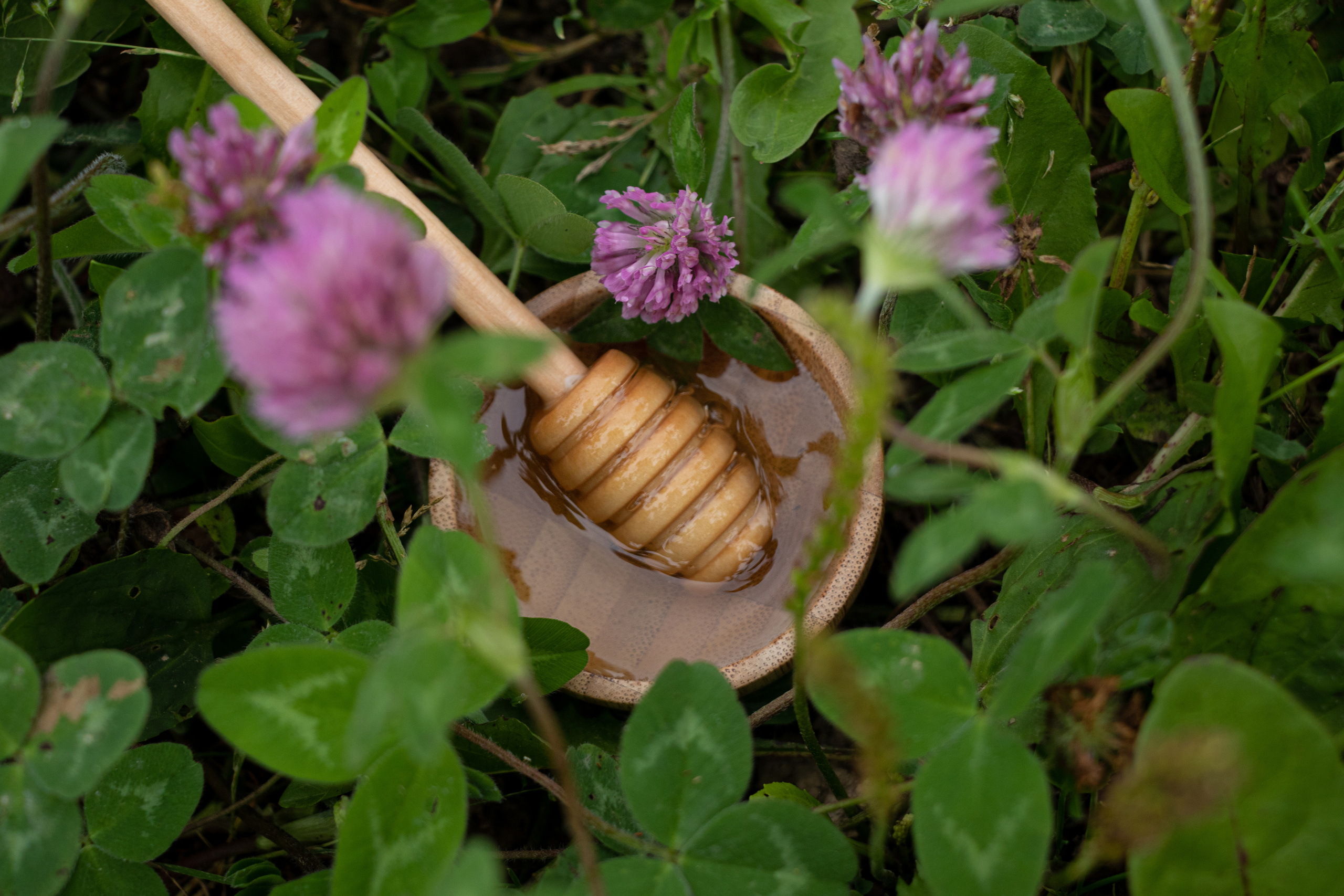 Food-фотография. Семейный и частный фотограф во Владивостоке
