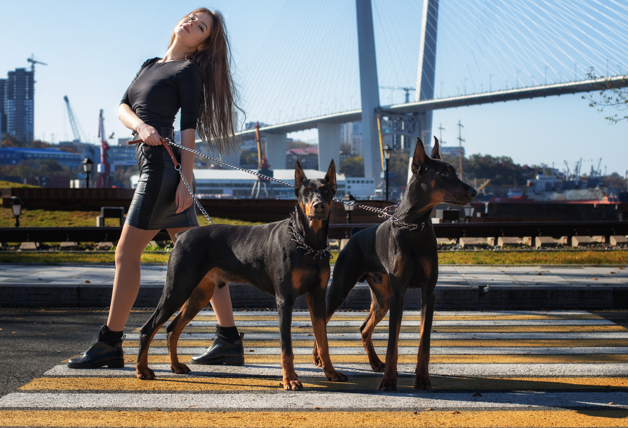 Прогулка с Доберманом. Семейный и частный фотограф во Владивостоке