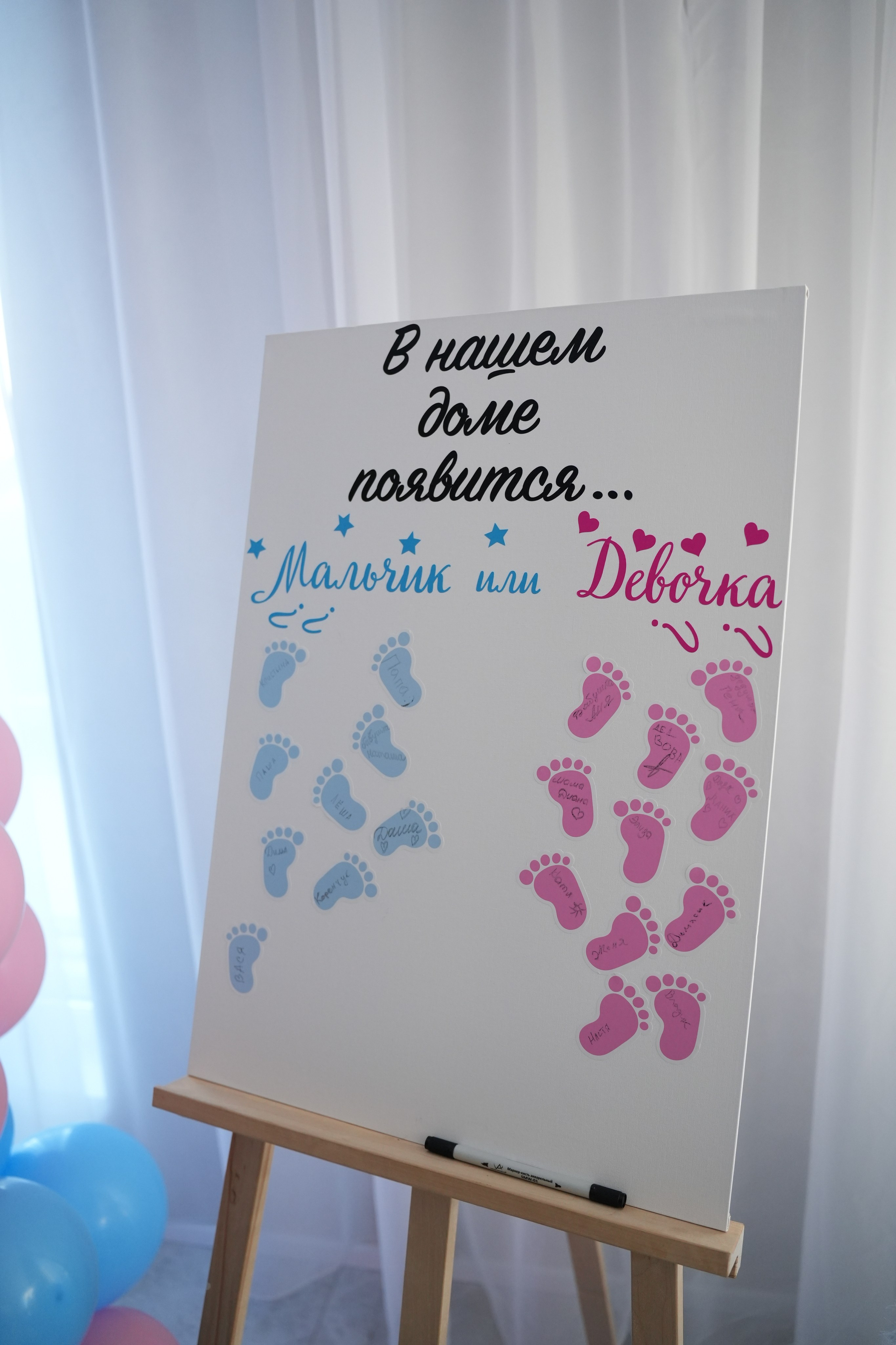 Gender Party. Семейный и свадебный фотограф Минск, Беларусь Анна Орловская