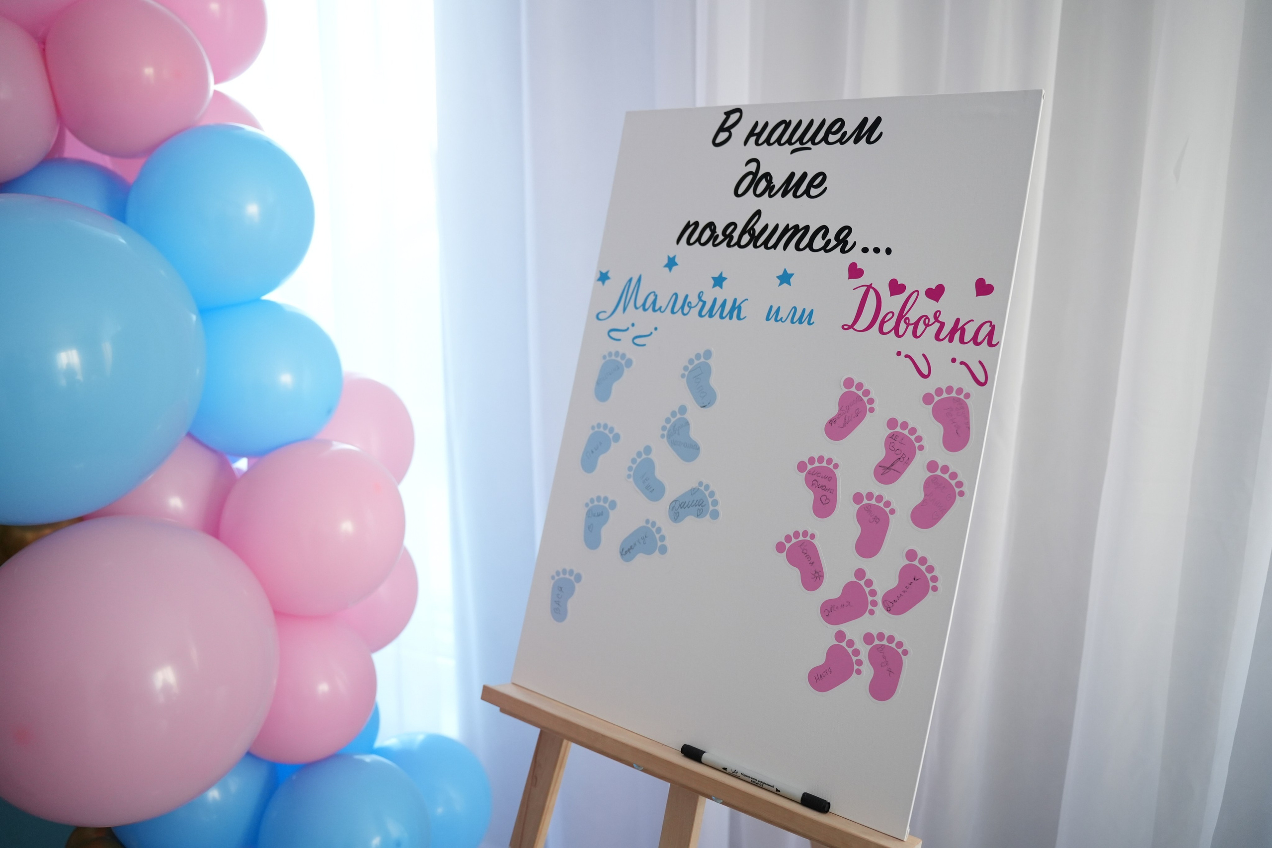 Gender Party. Семейный и свадебный фотограф Минск, Беларусь Анна Орловская