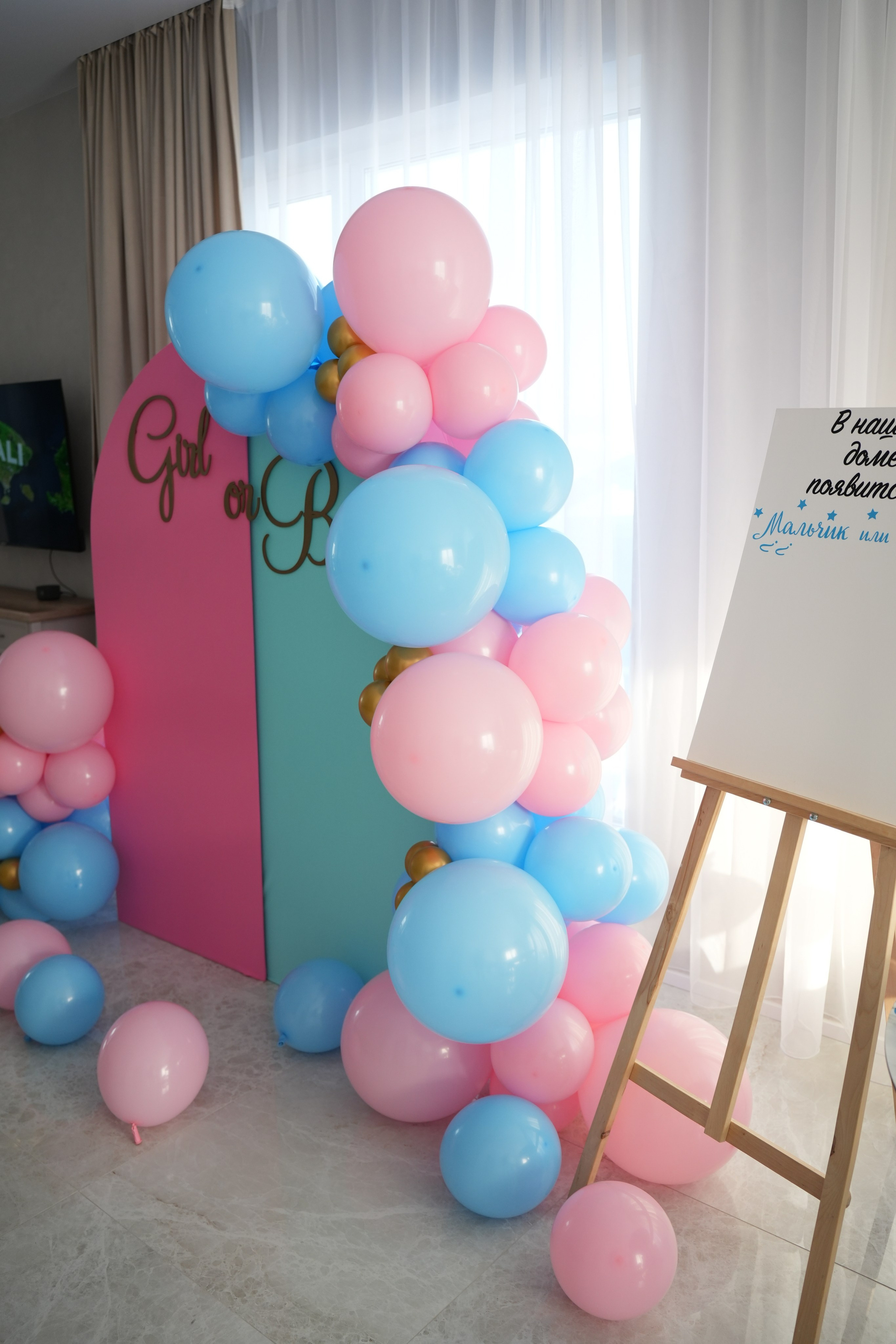 Gender Party. Семейный и свадебный фотограф Минск, Беларусь Анна Орловская