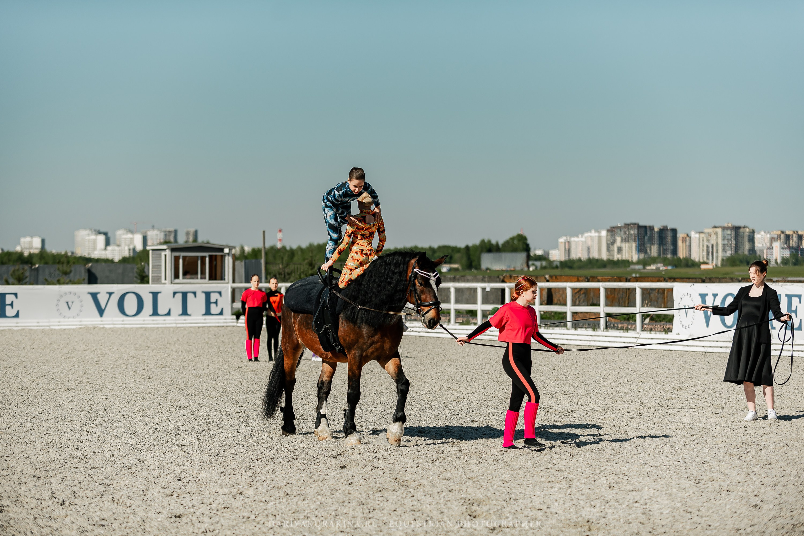 РЕПОРТАЖ МКК ВОЛЬТ «LA TULIPS». Конный фотограф Куракина Дарья • Фотосессии с лошадьми