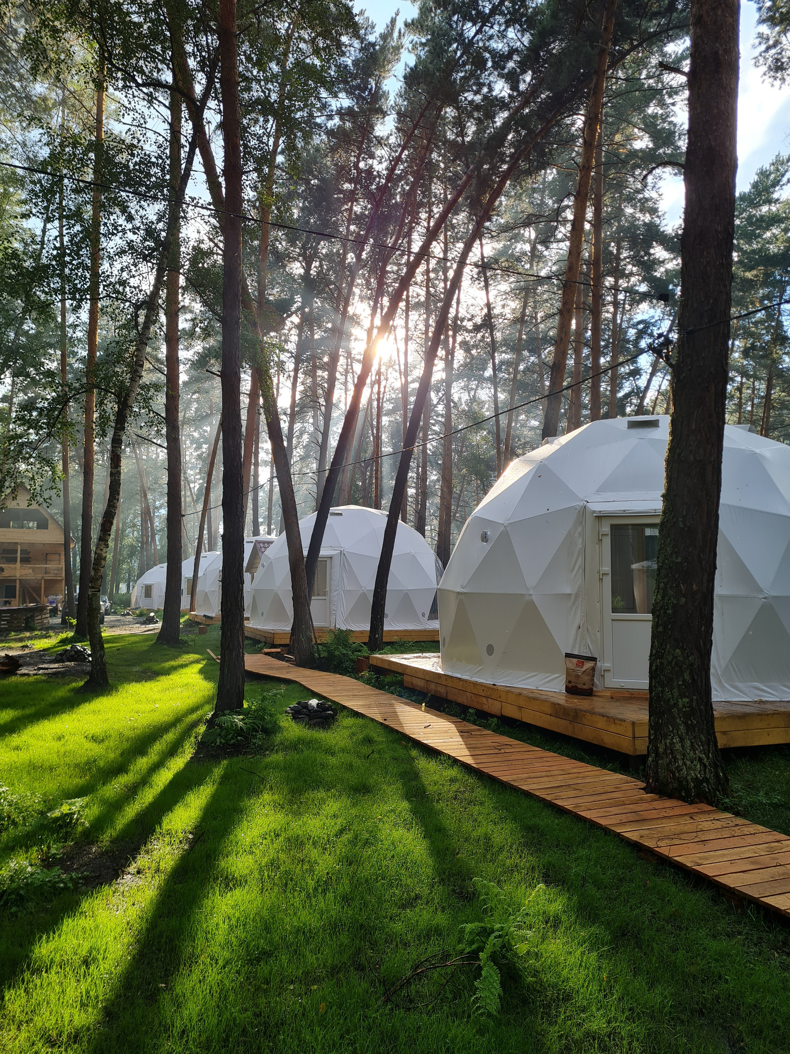 «Royal Forest» купольная база, респ. Алтай. Контент фотограф Дмитрий Борисов