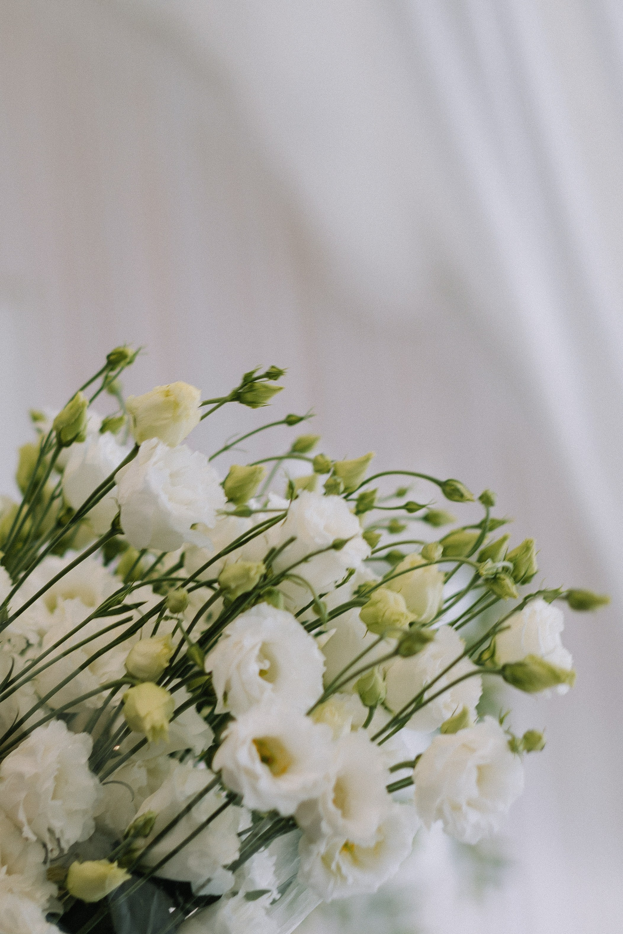 Александр и Ольга. Свадебный фотограф и видеограф в Москве, Виктор Архилюк