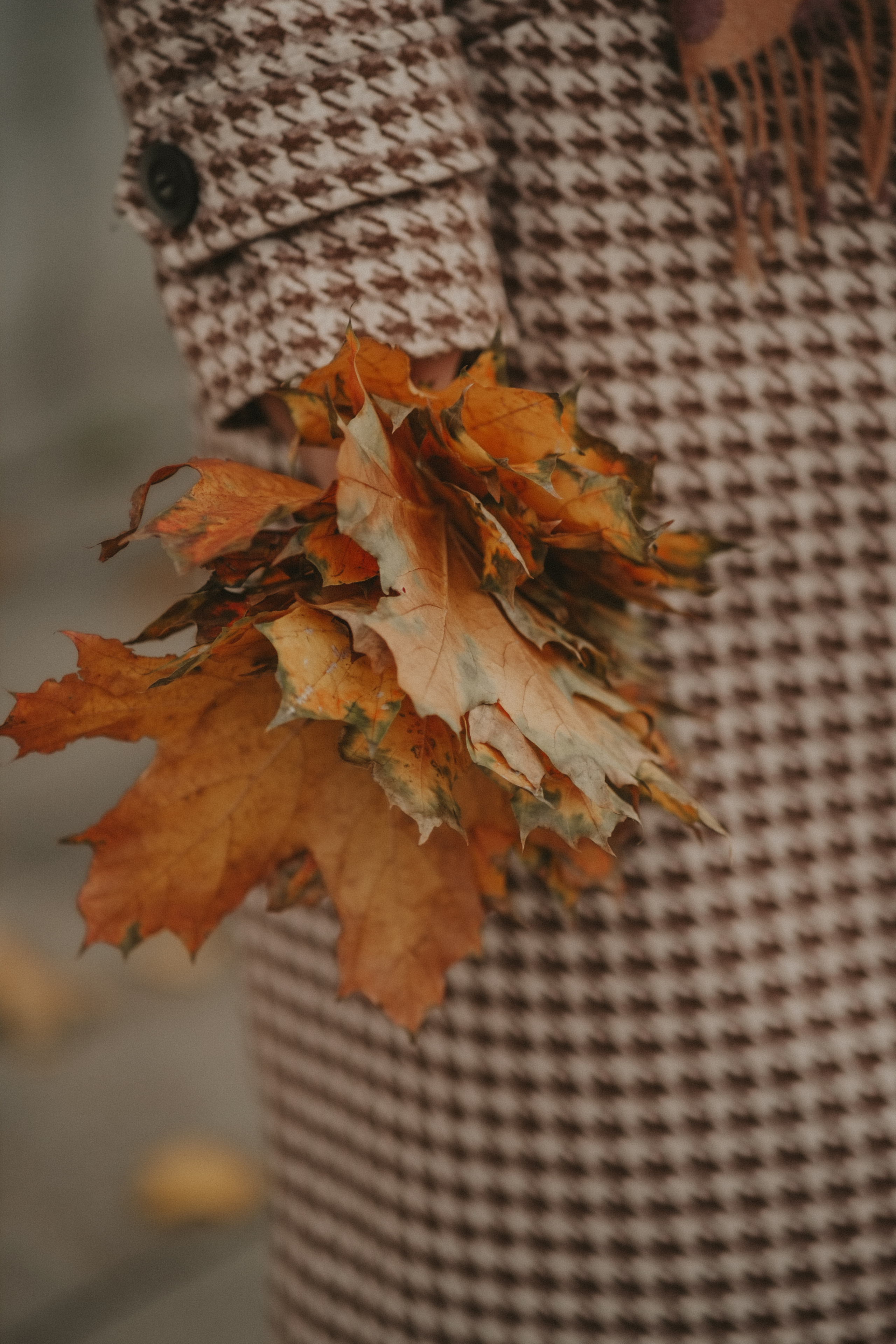 Осенняя прогулка. Свадебный и семейный фотограф в Москве Инника Кетлер