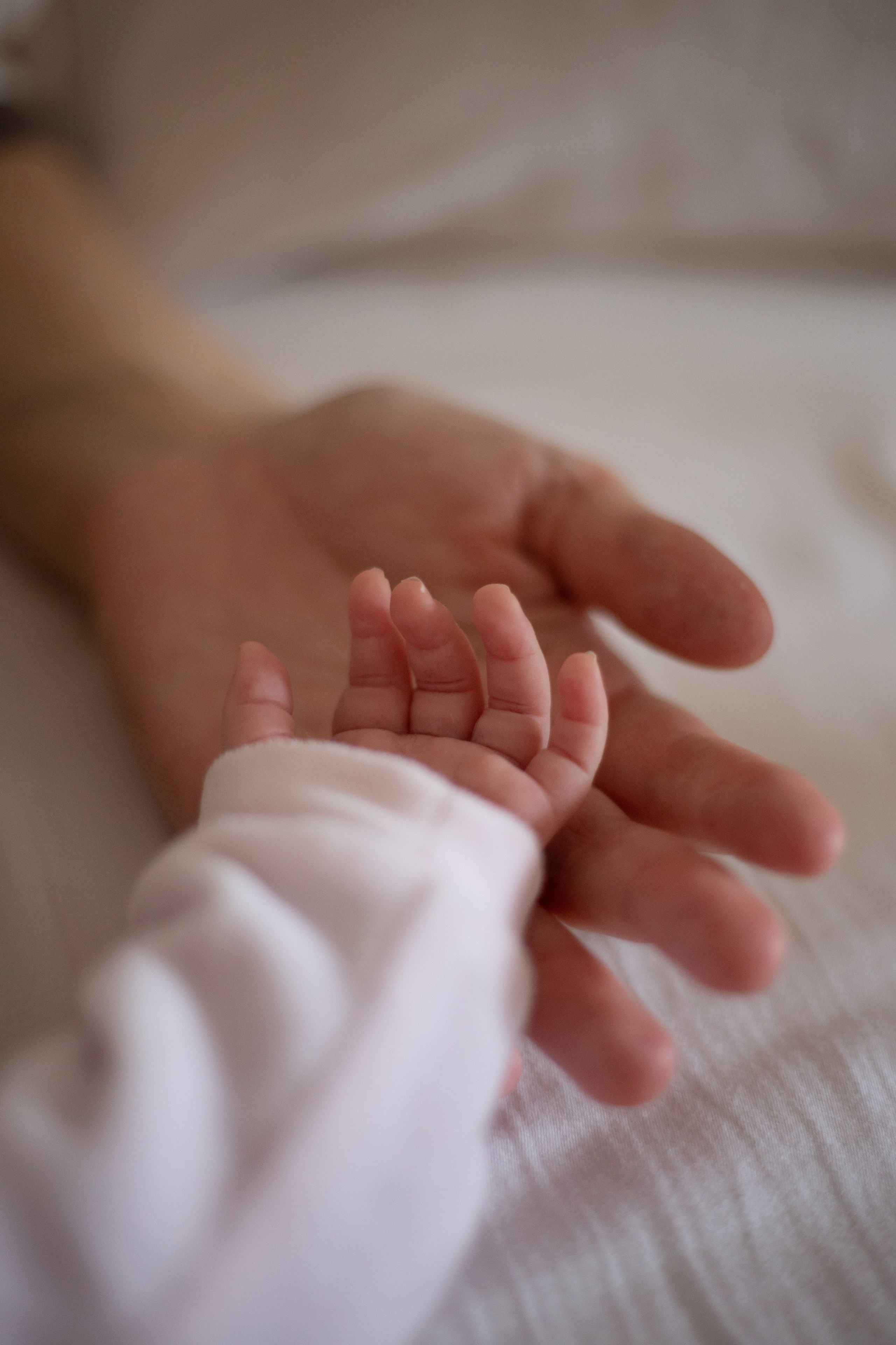 Кристина. Семейный фотограф Виктория Потехина Москва