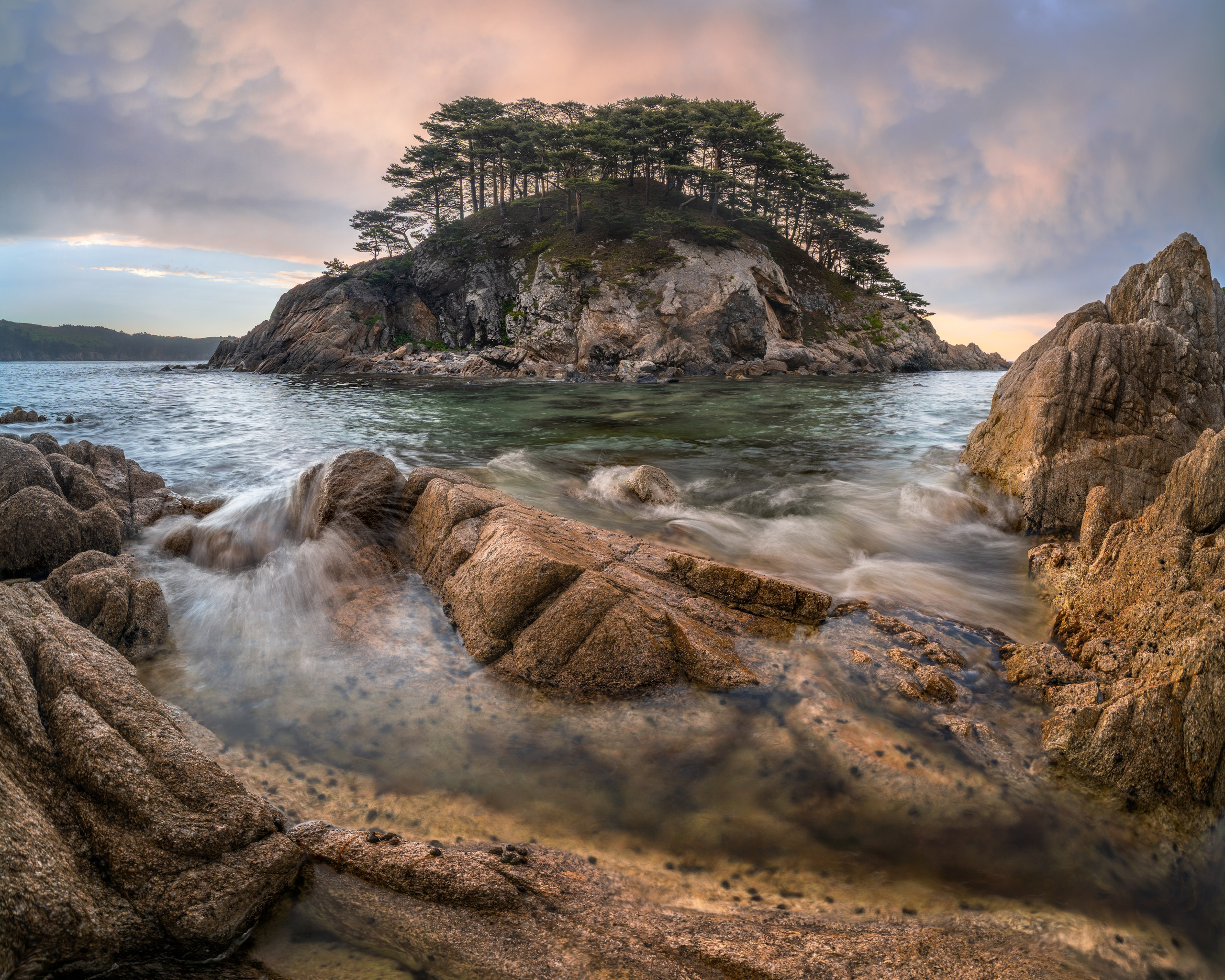 Портфолио. Andrew Gusarov Nature Photography