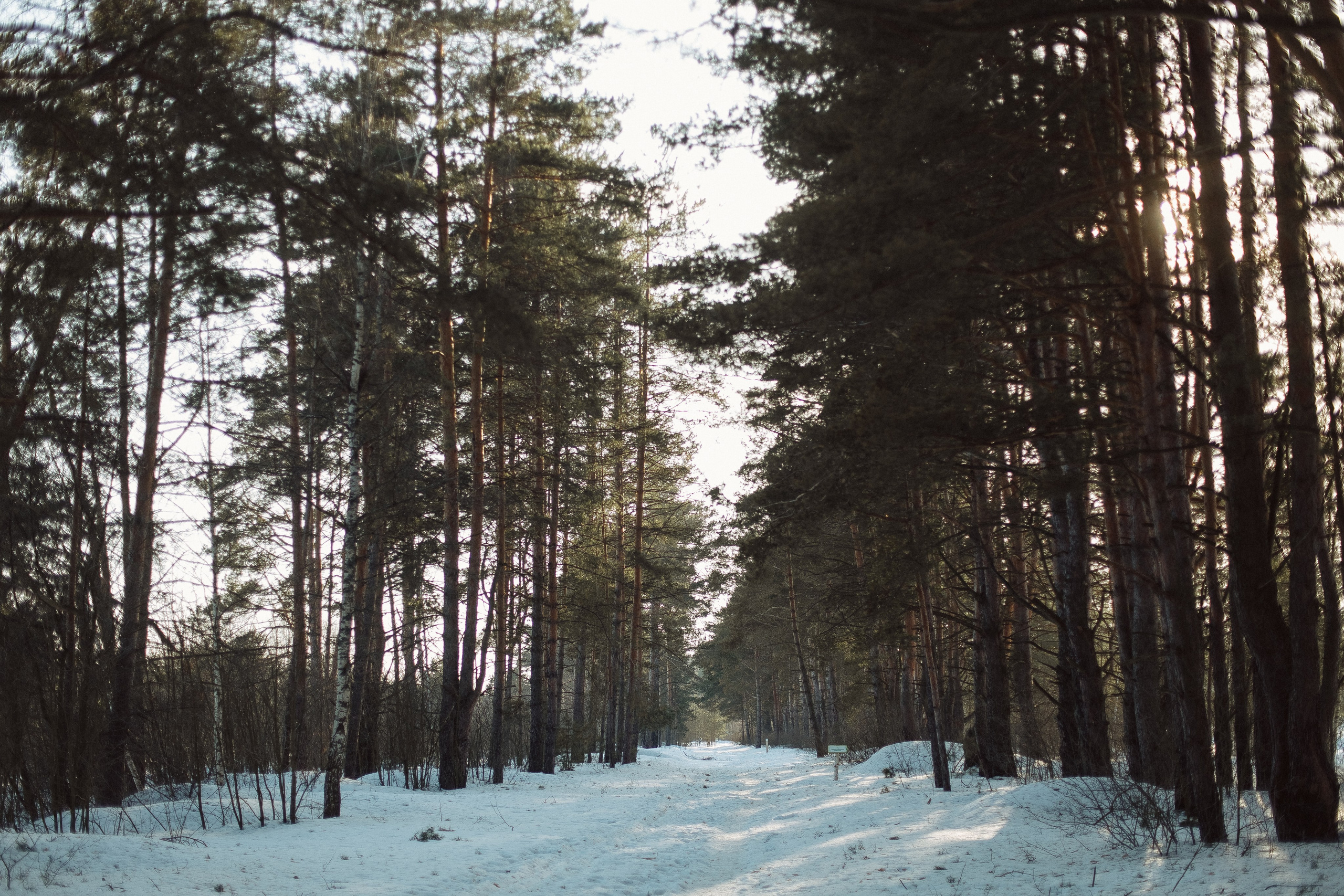 Экопарк ПОЛЯНЫ. Главная
