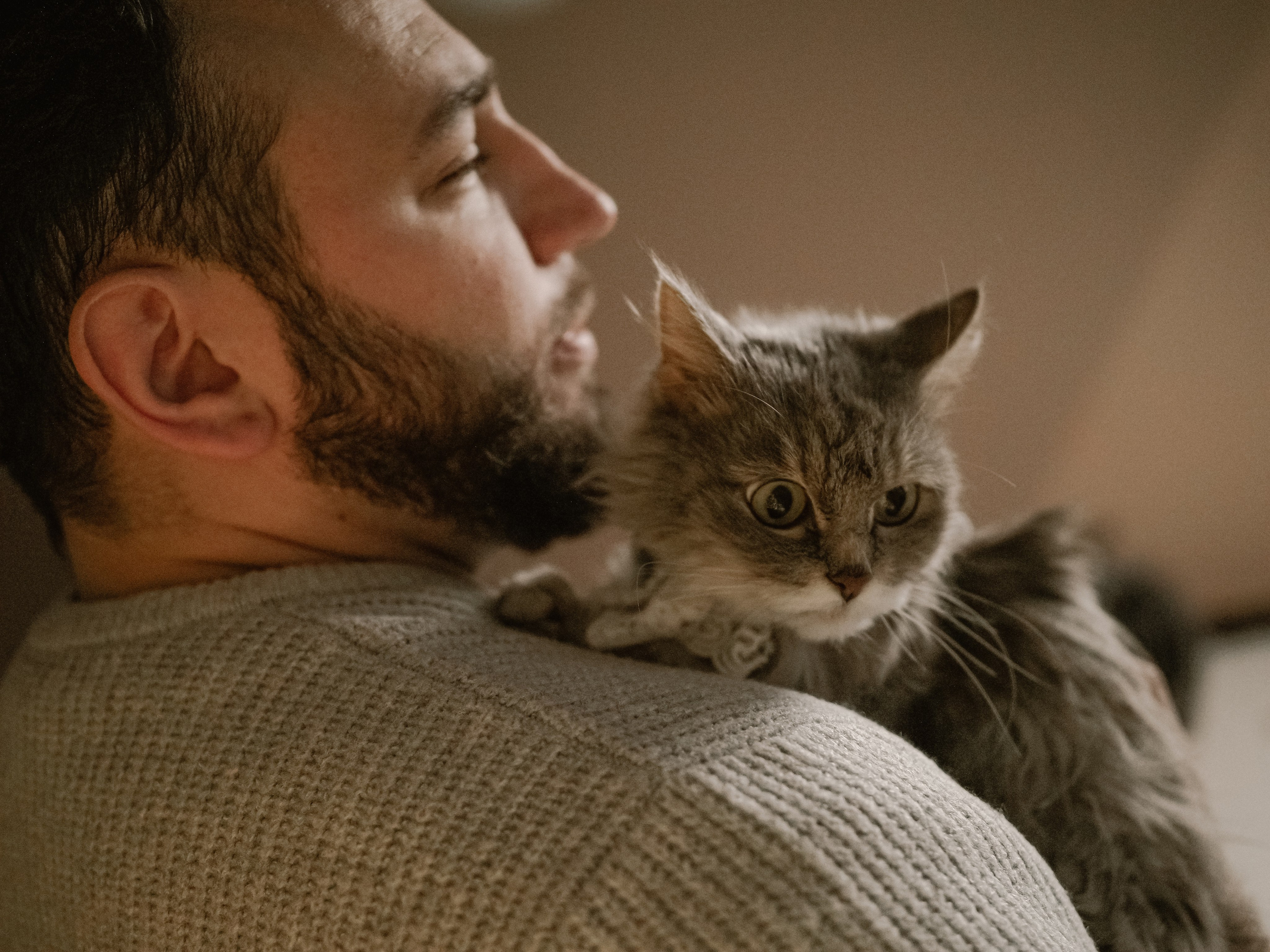 Mrrrr christmas. Фотограф Рязань. Семейный Свадебный фотограф