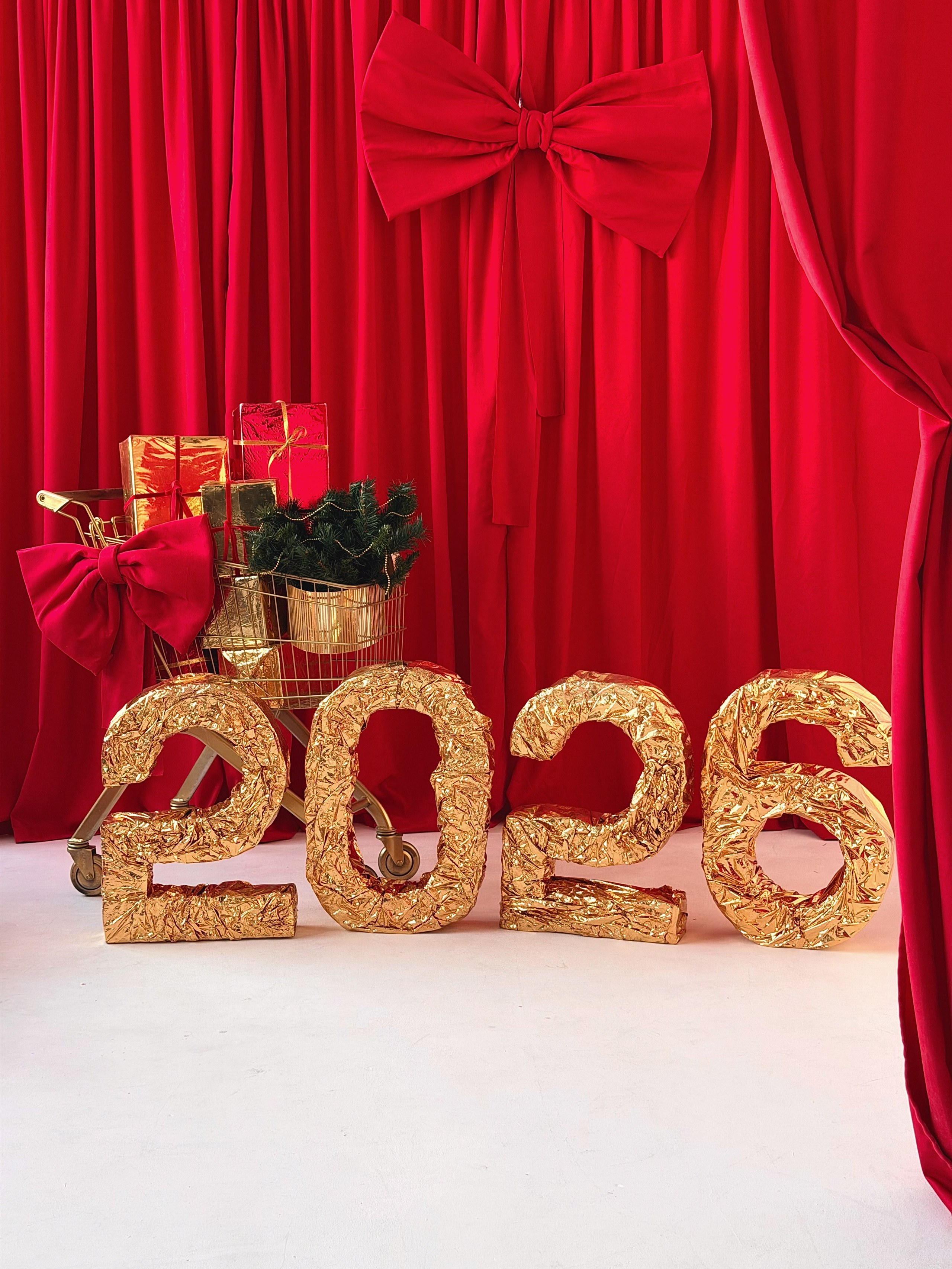 Зал LIGHT * NY 2026. Фотостудия Элис