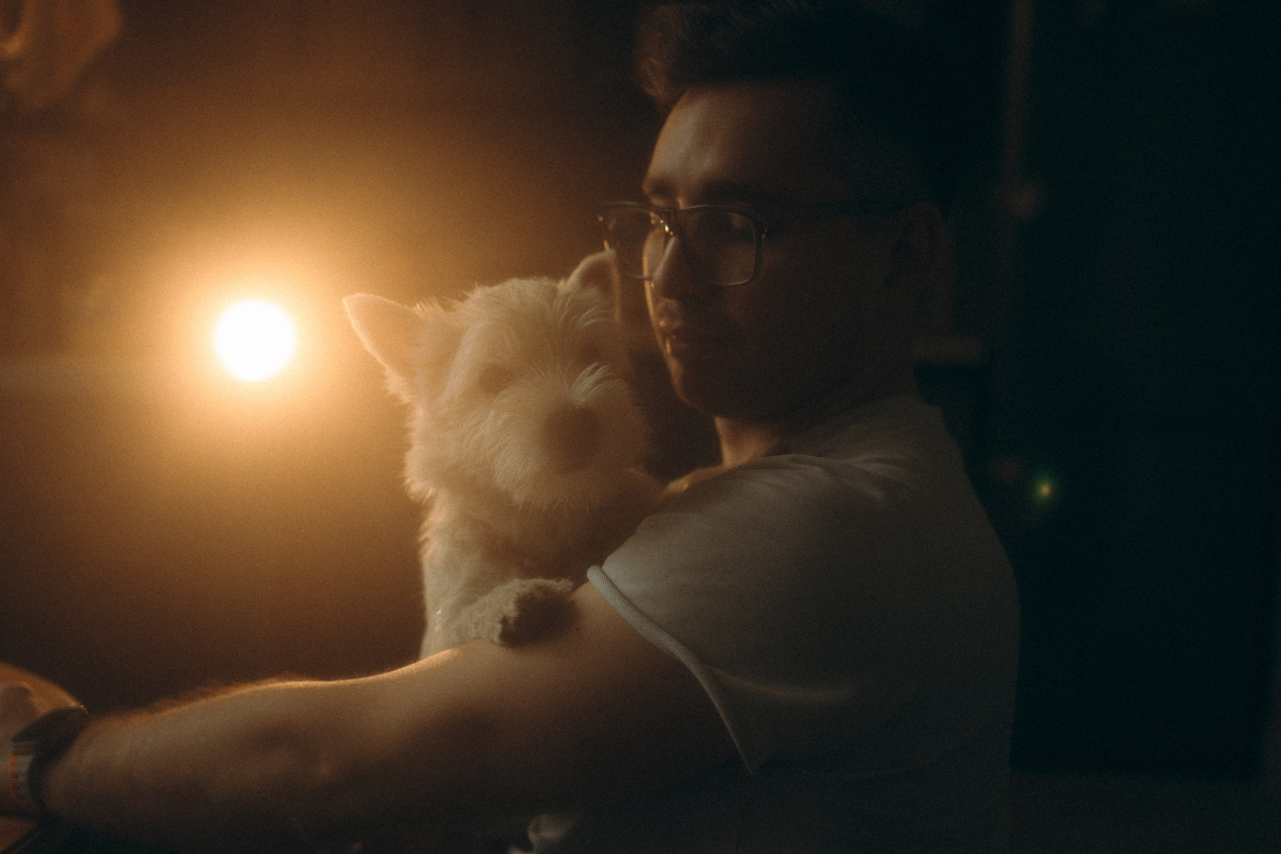 Снежуля, Мари и Саша. Фотограф анималист Анастасия Пикей