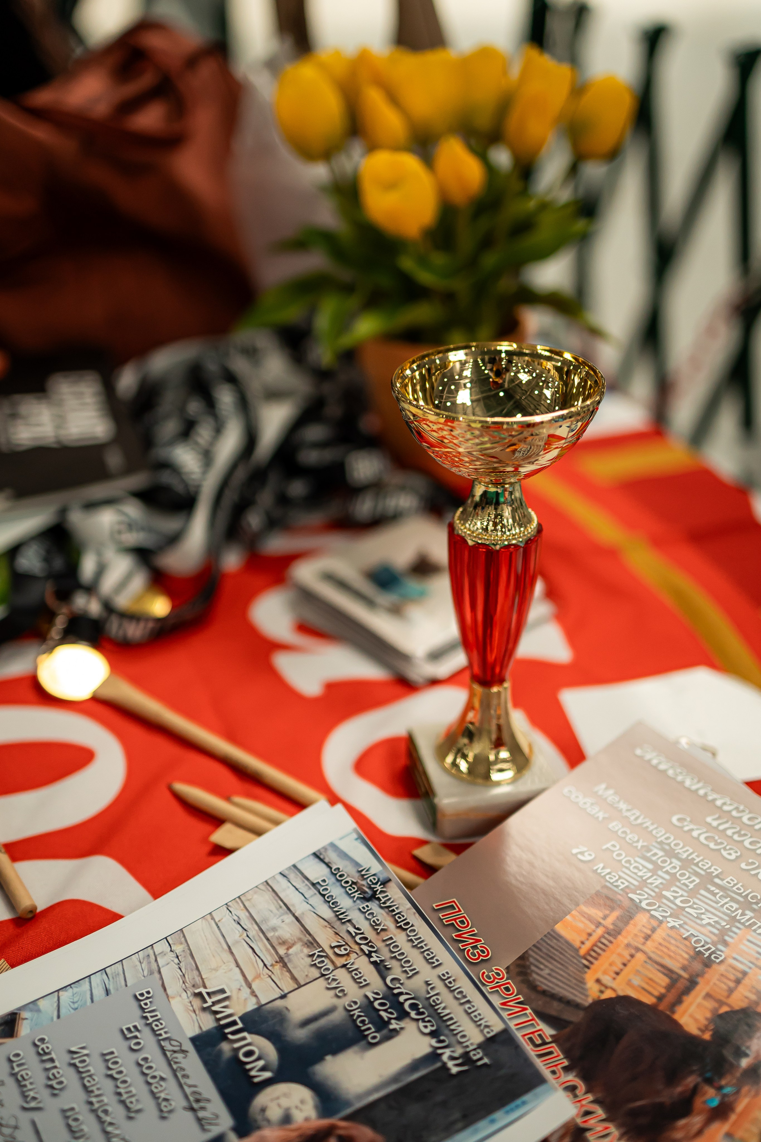 Выставка сеттеров 19.05.24