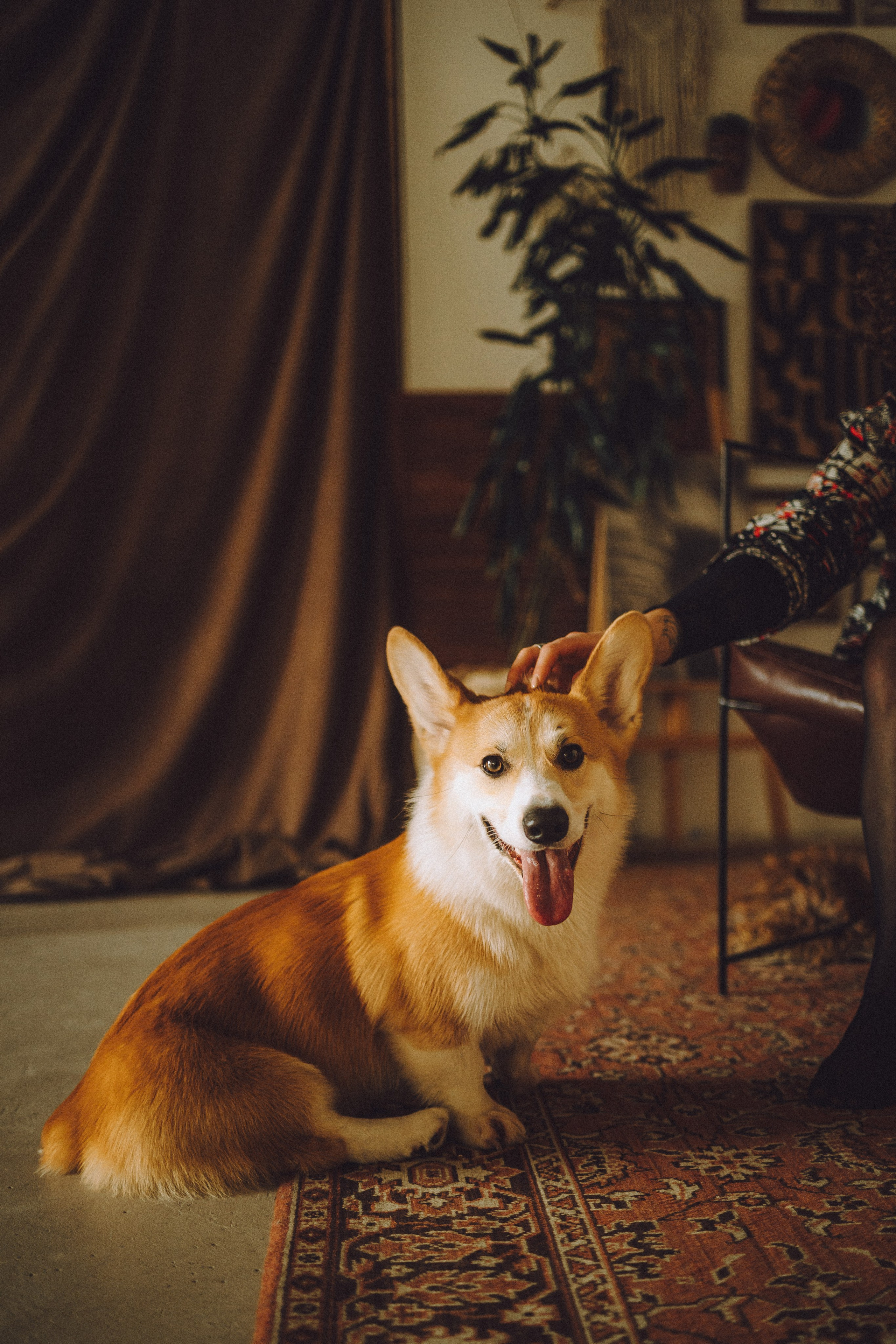 Наталья, Евгений и Мерлин