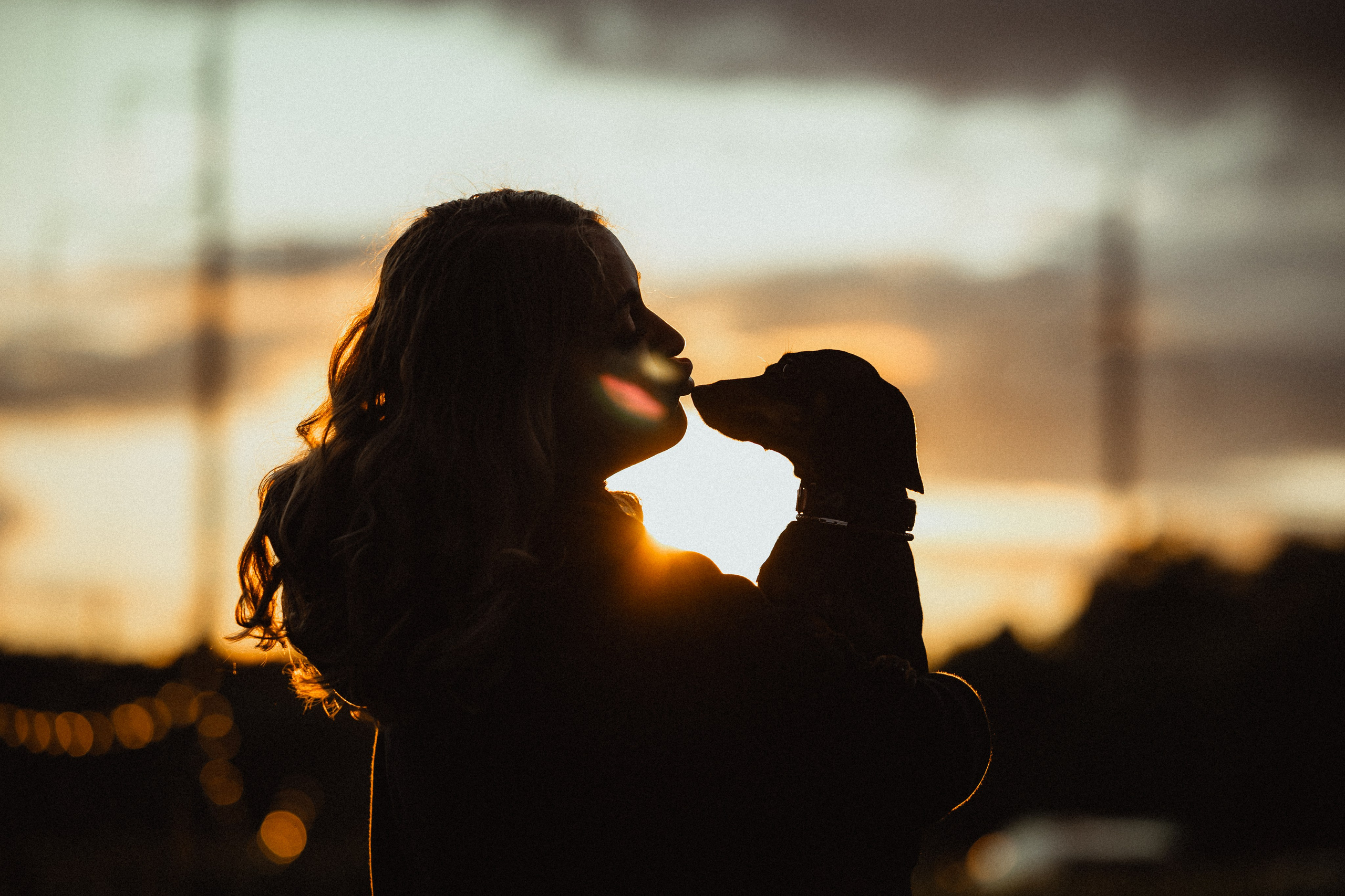 Выездной дог-тренинг от школы «Шерсть имею»