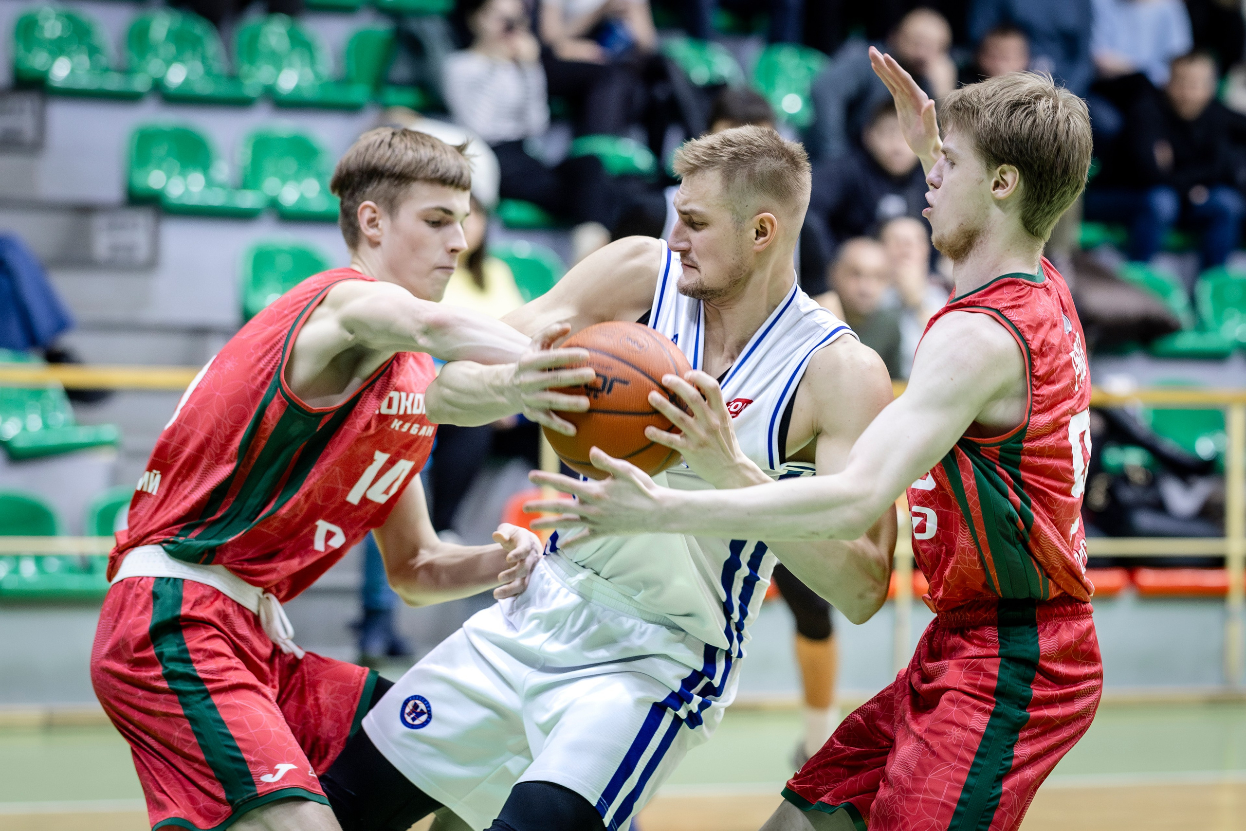 БК Новосибирск. Bertran Ordo