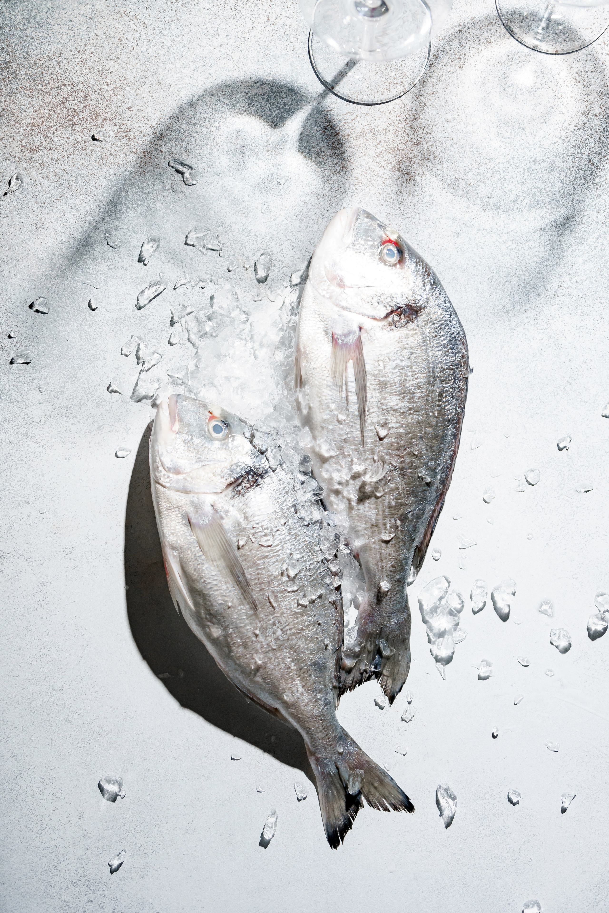 Ресторан «Murmansk». Контент фотограф в Москве Александр Хитько