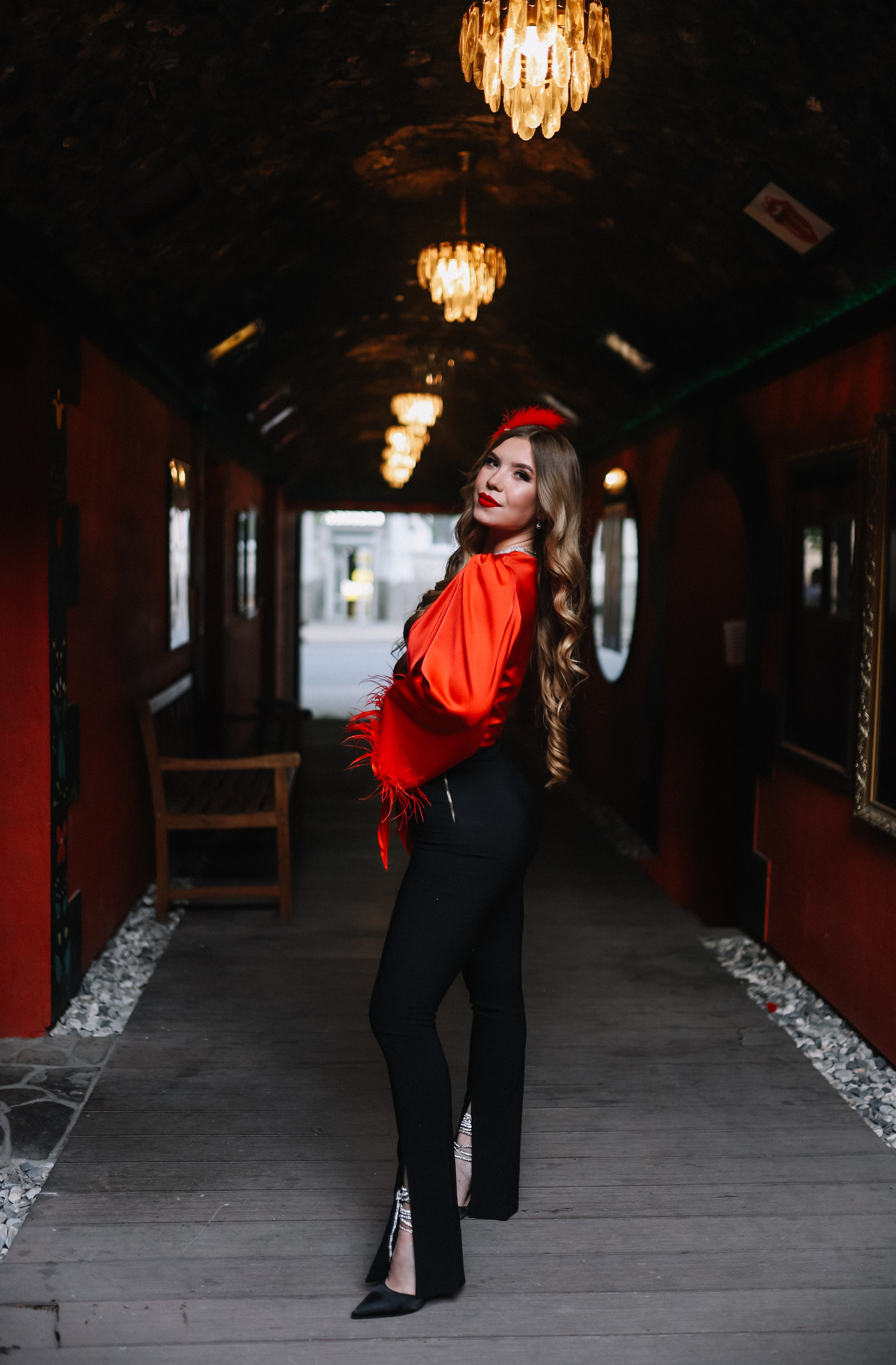 25.Диана и гости