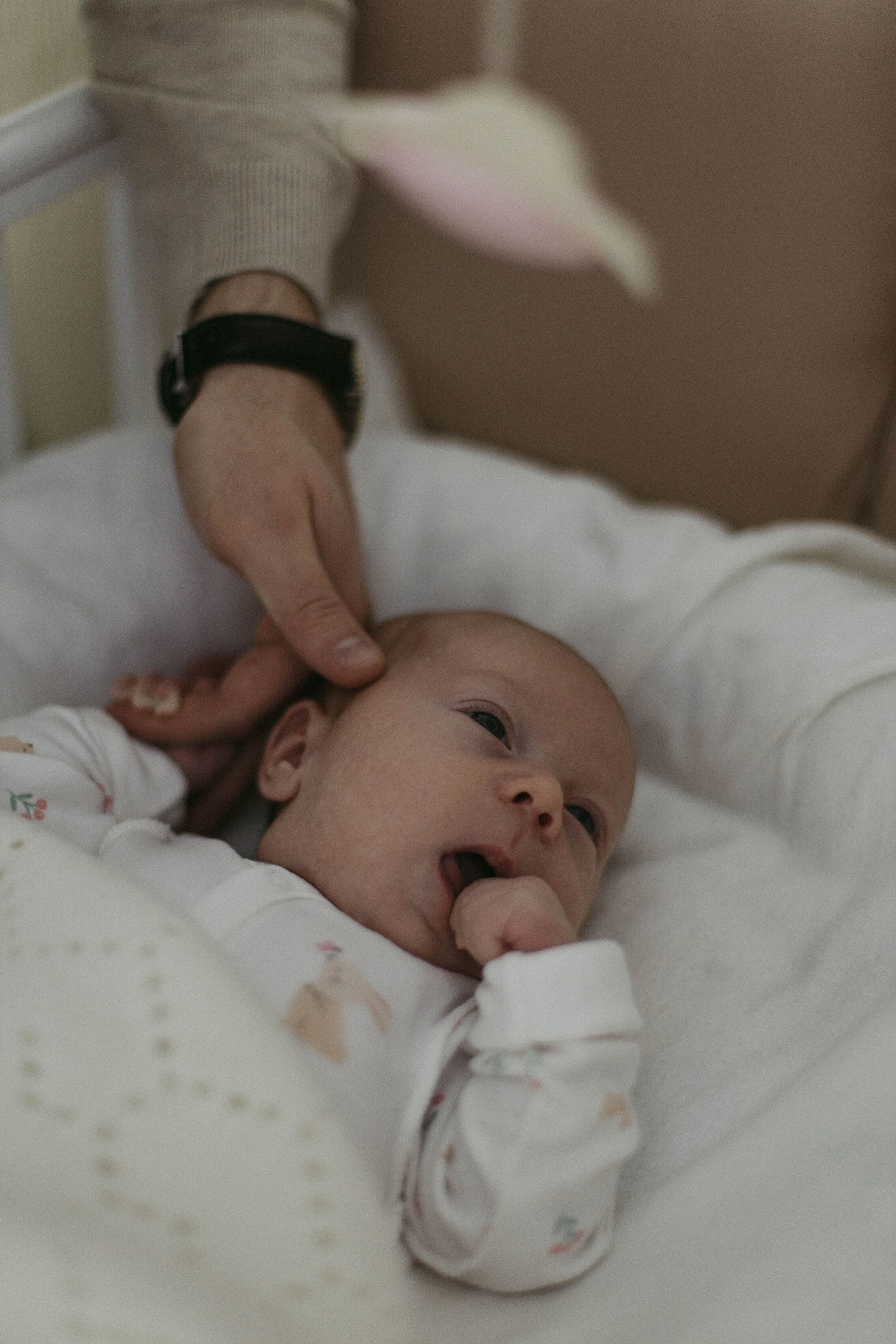 Лере 1 месяц. Семейный фотограф Гульцовская Екатерина