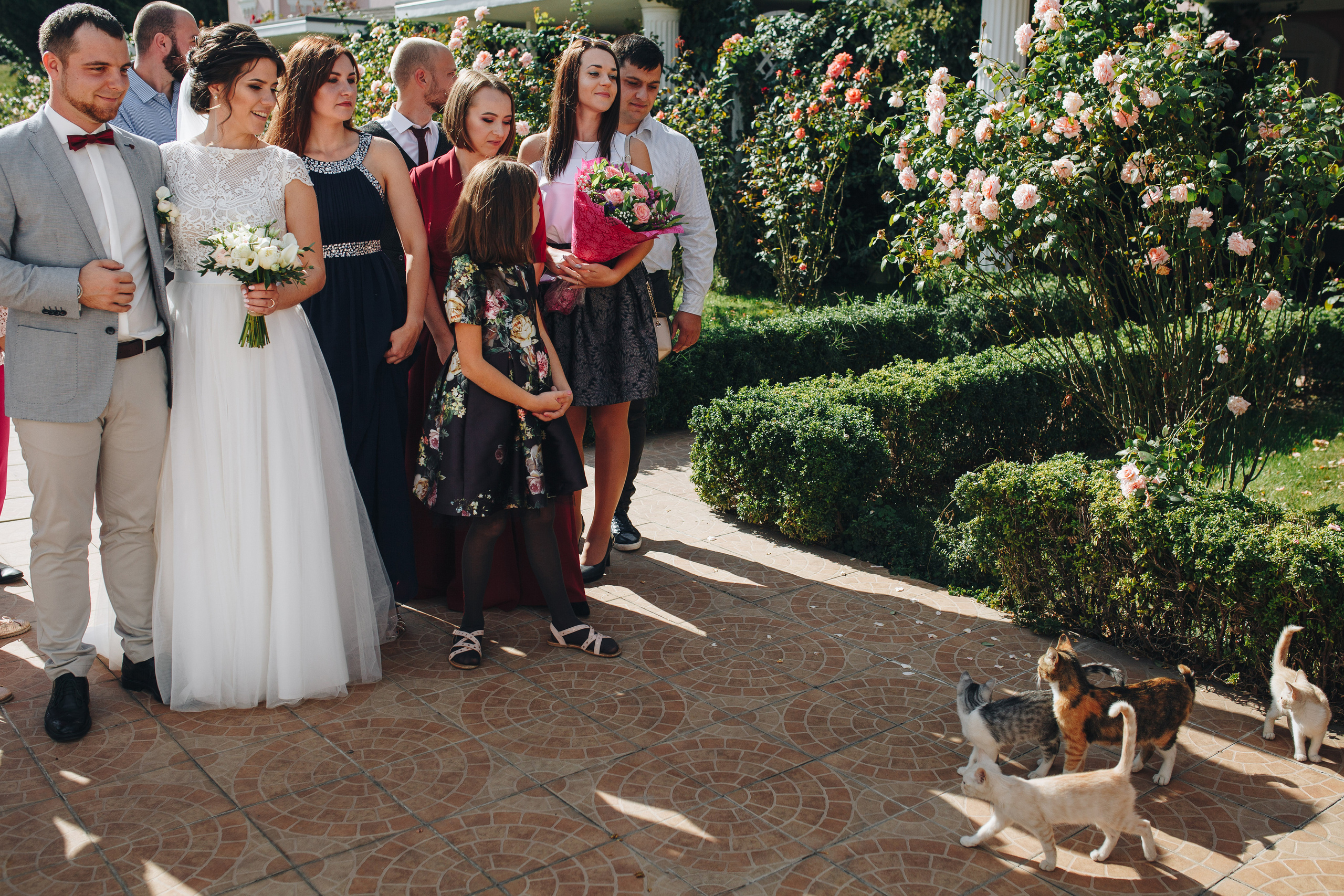 Я птицу счастья свою отпускаю на юг. Свадебный фотограф в Москве Кристина Засухина