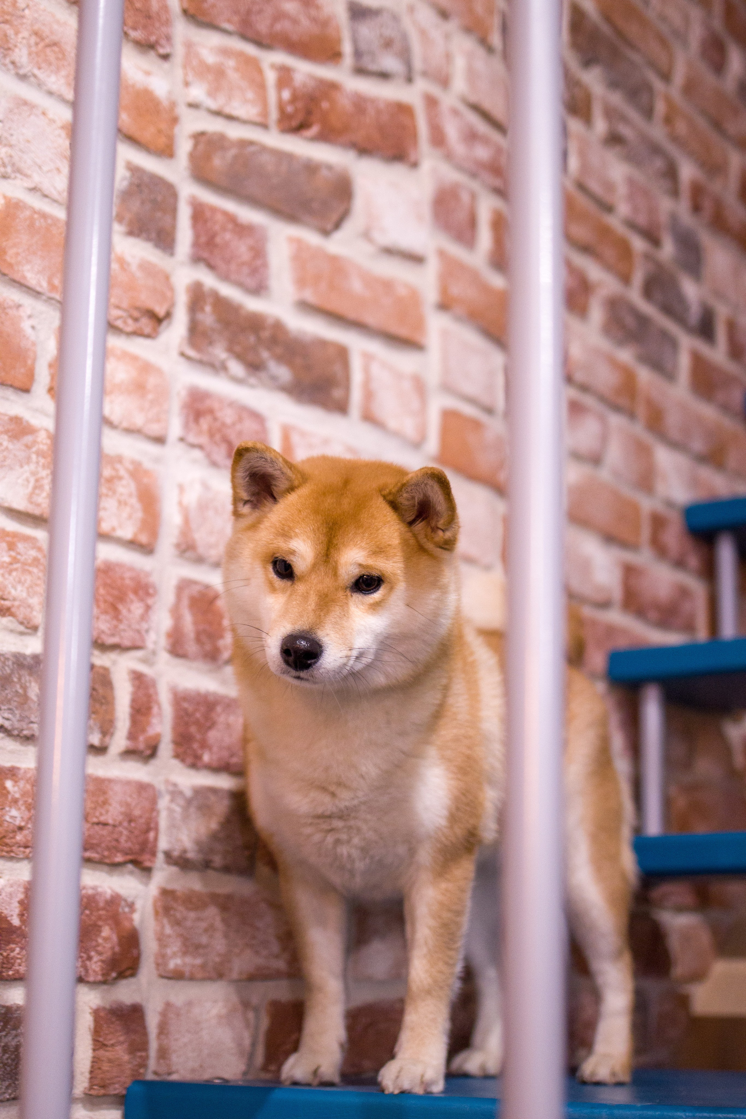 Диана. Художественная фотография