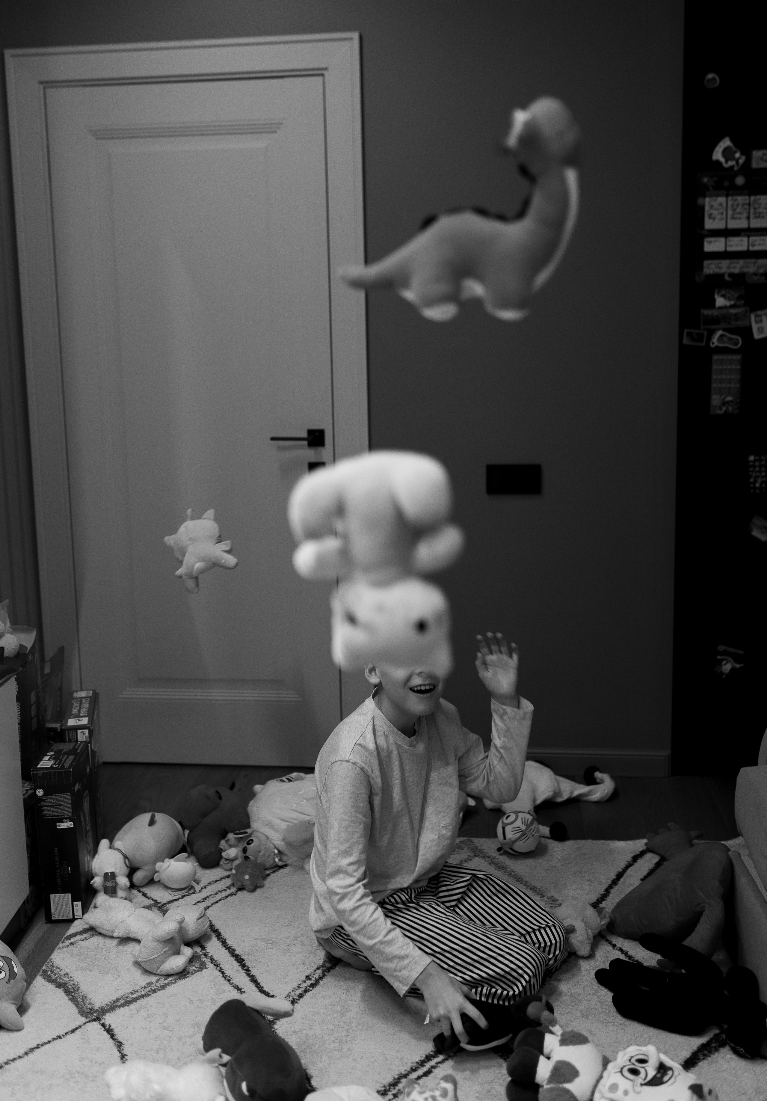 Домашняя история. Meryfotoidea