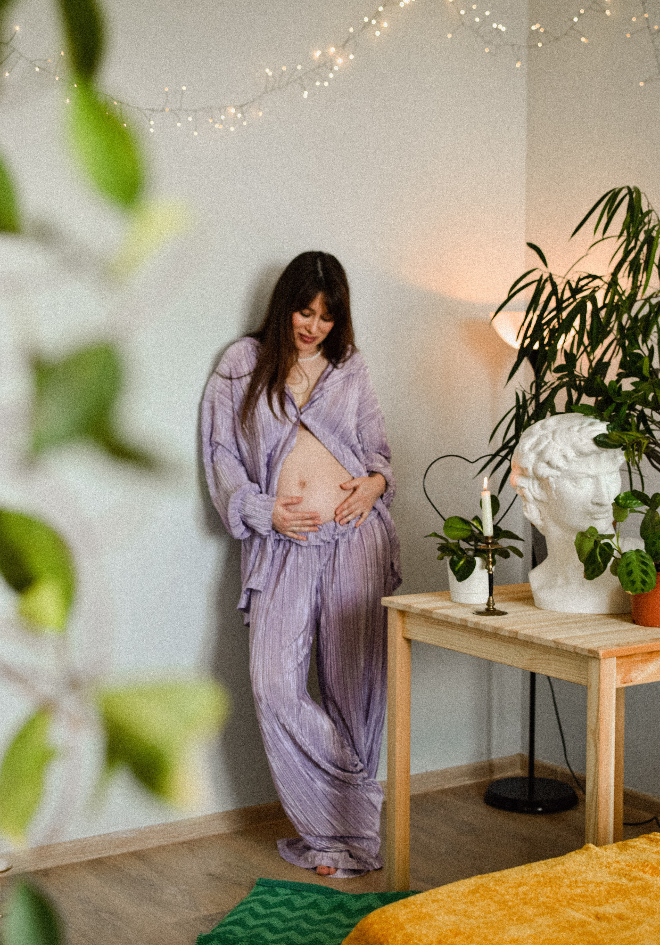 Домашняя история. Meryfotoidea