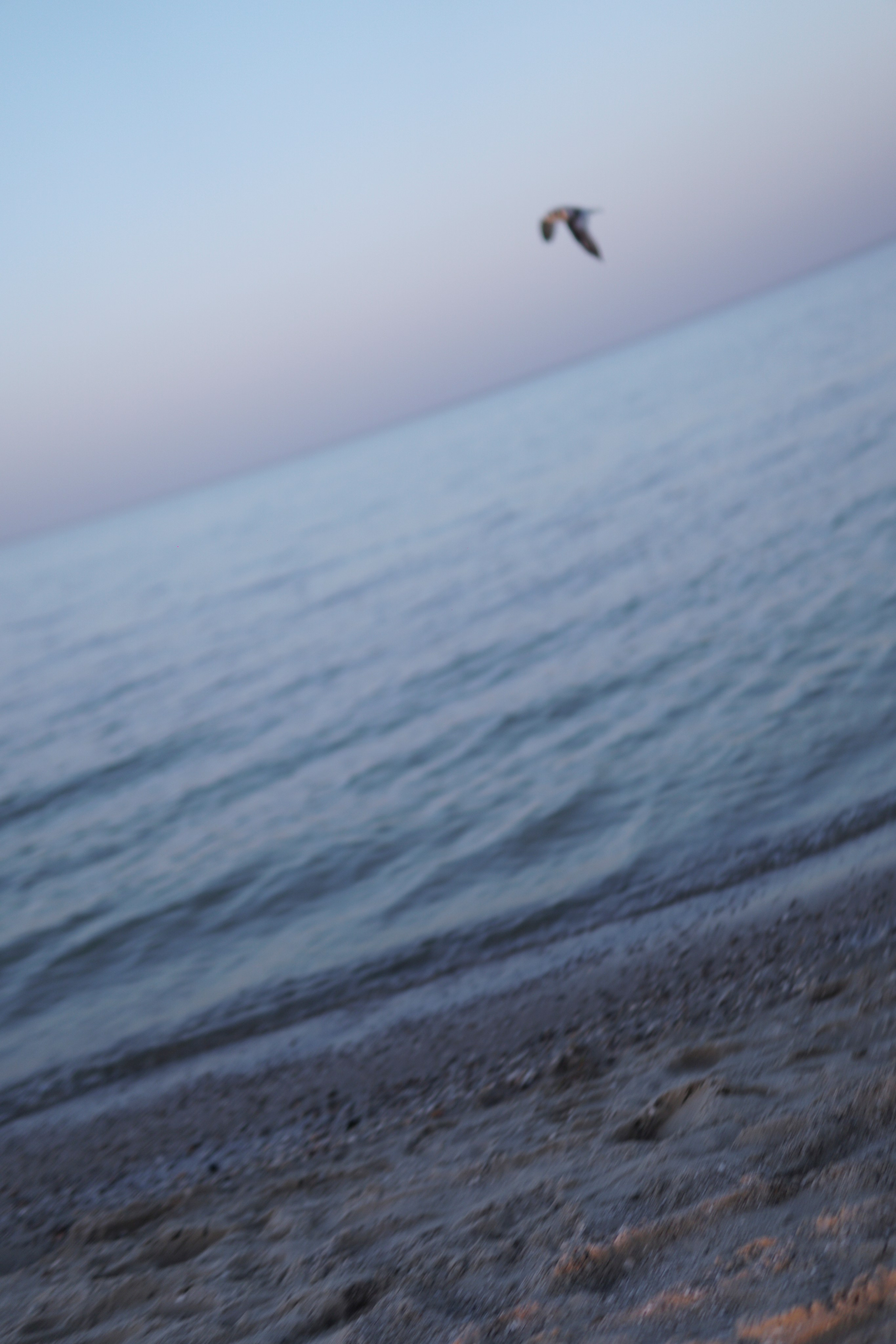 Сестры у моря в Ростове-на-Дону. Фотосессия за городом. Фотограф в Ростове-на-Дону Марина Мальцева