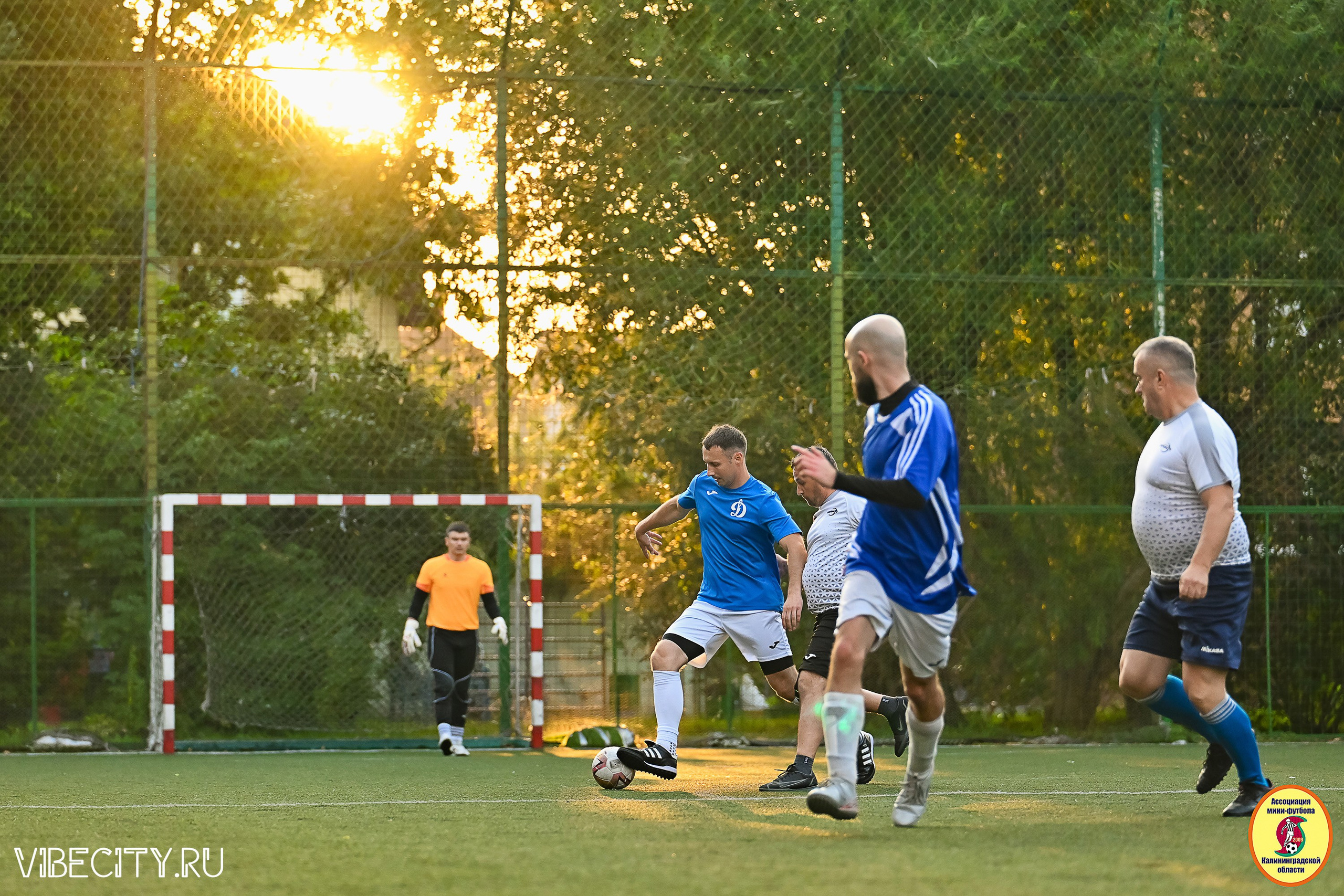 ИГРЫ ПЛЕЙ-ОФФ ПЕРВОГО ДИВИЗИОНА МИНИ-ФУТБОЛЬНОЙ ЛИГИ. VIBECITY.RU Вайб Сити Ру Фоторепортажи Фотоотчеты Калининград