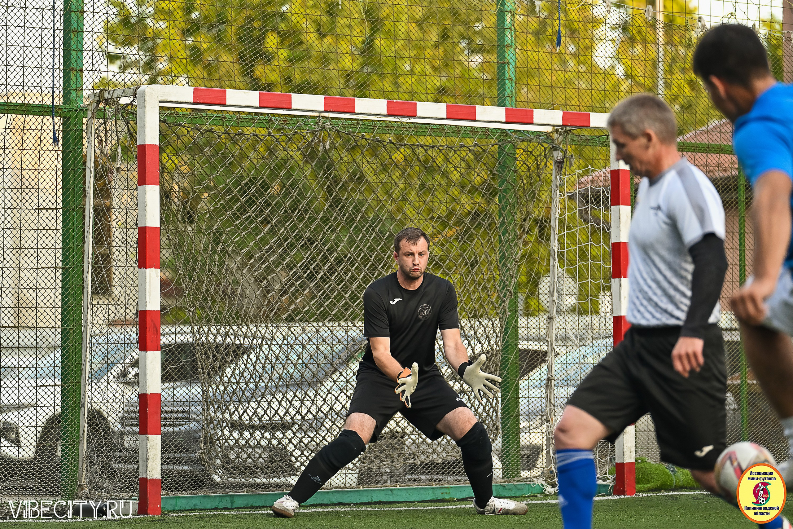 ИГРЫ ПЛЕЙ-ОФФ ПЕРВОГО ДИВИЗИОНА МИНИ-ФУТБОЛЬНОЙ ЛИГИ. VIBECITY.RU Вайб Сити Ру Фоторепортажи Фотоотчеты Калининград
