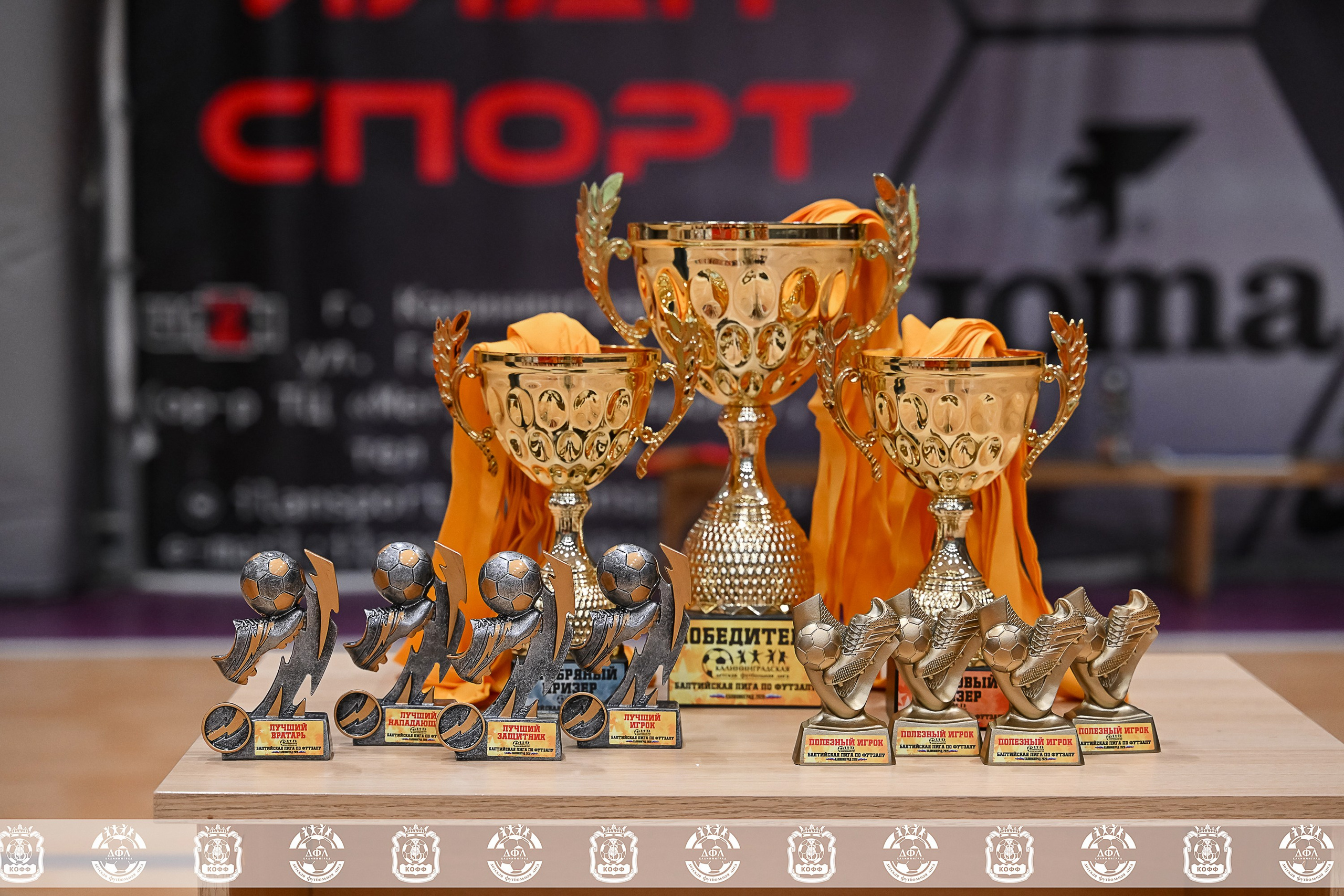 ДФЛ Скай парк. VIBECITY.RU Вайб Сити Ру Фоторепортажи Фотоотчеты Калининград