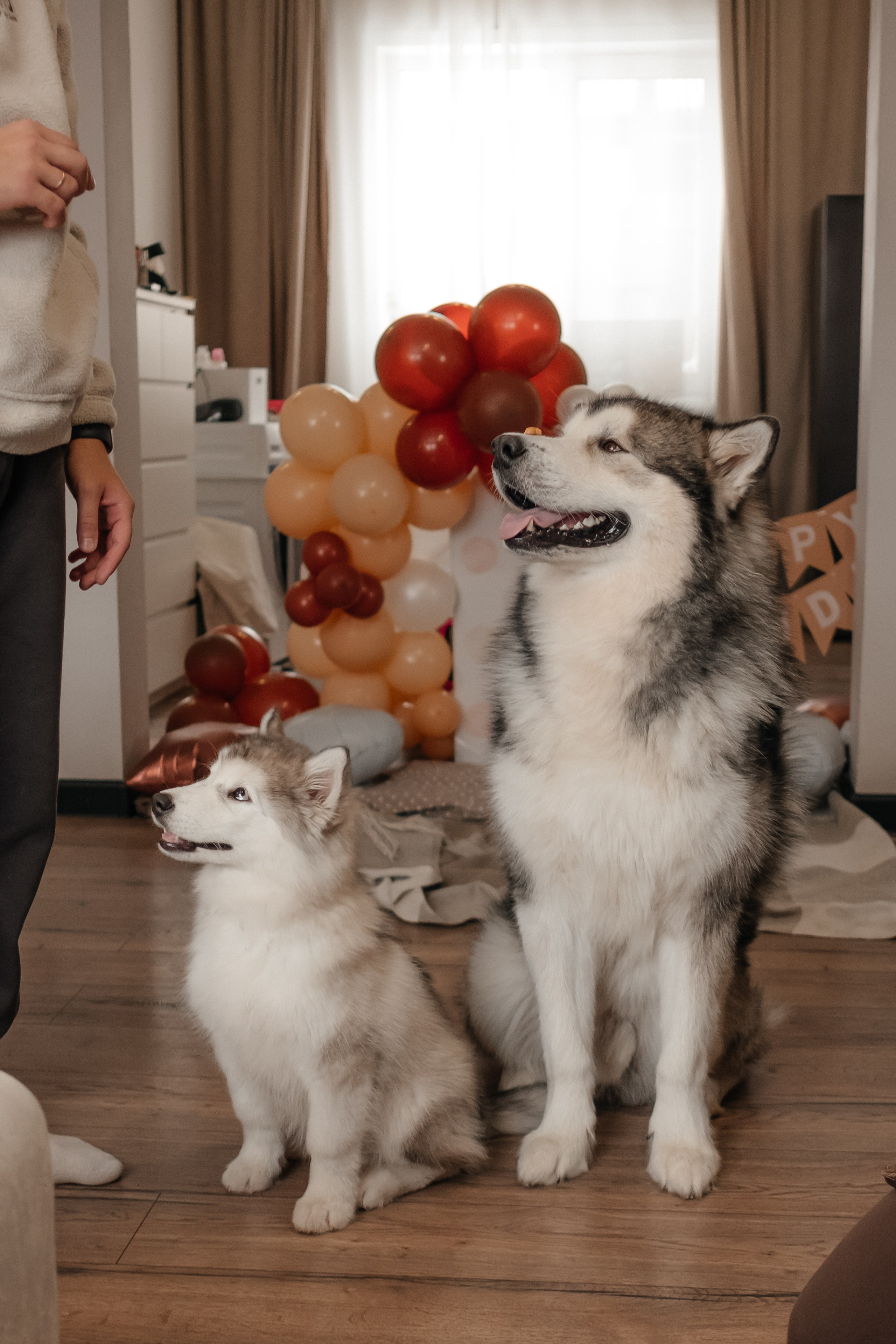 Катя, Саша и Еся | домашняя съемка. Фотограф в Новосибирске Диана Ильиных