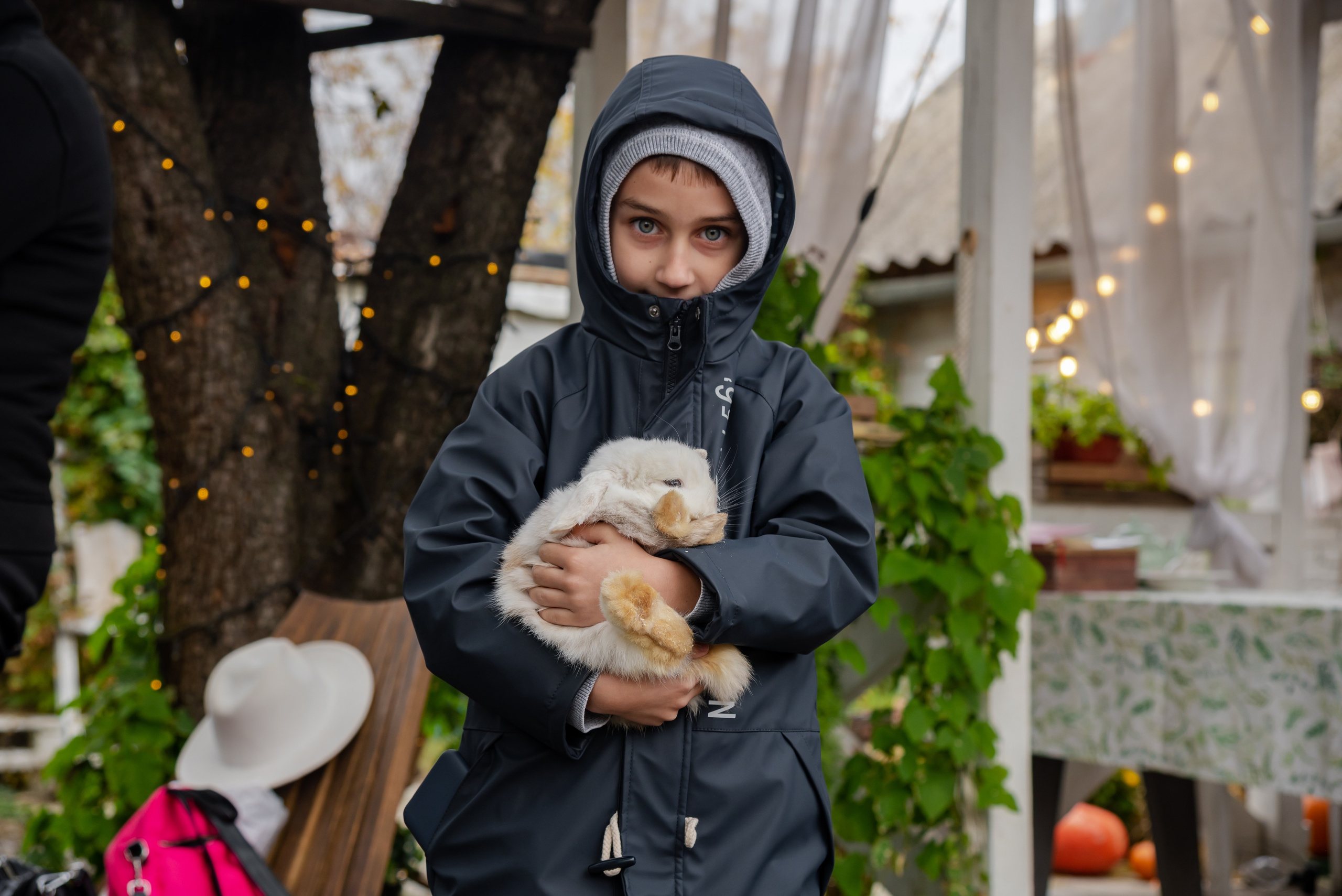 Авакадо. Фотограф Галина Нестерова