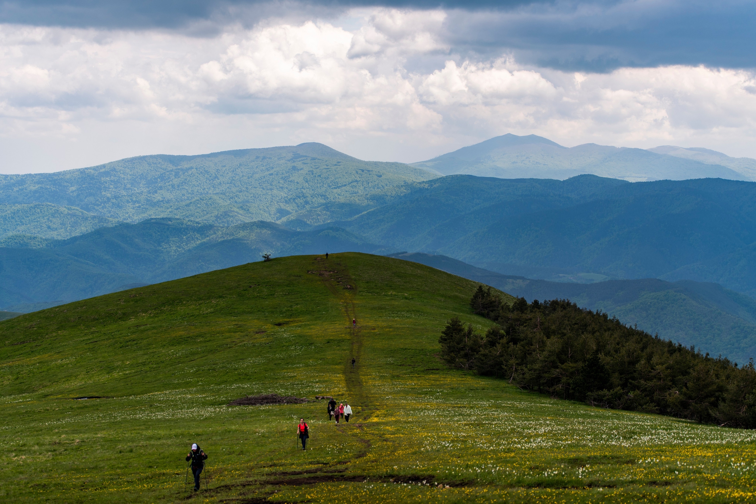 Столови. Сербия. Фотограф в Москве. Шахабудин