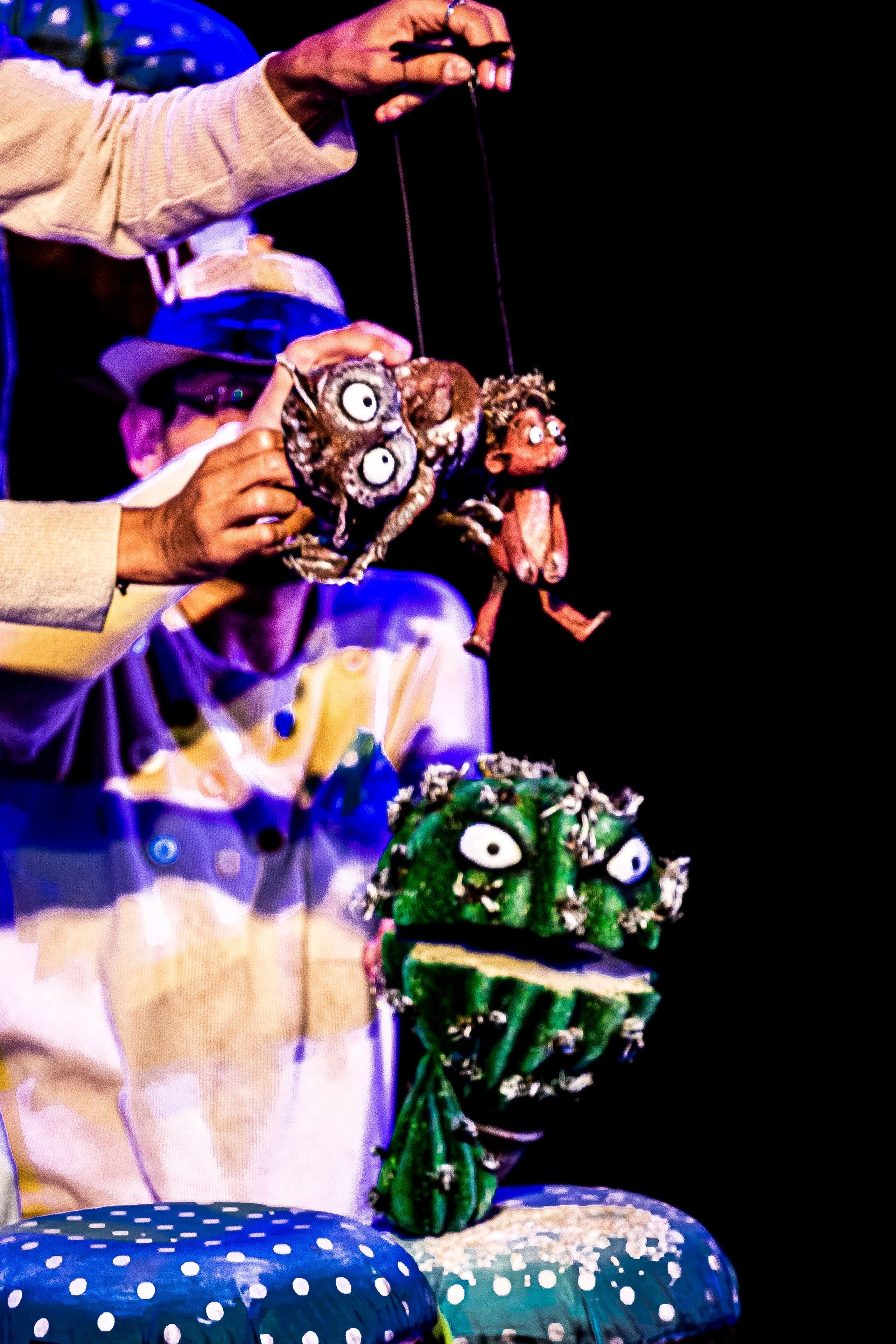 Колючая сказка. Фотограф в Сочи Юрий Шептаев