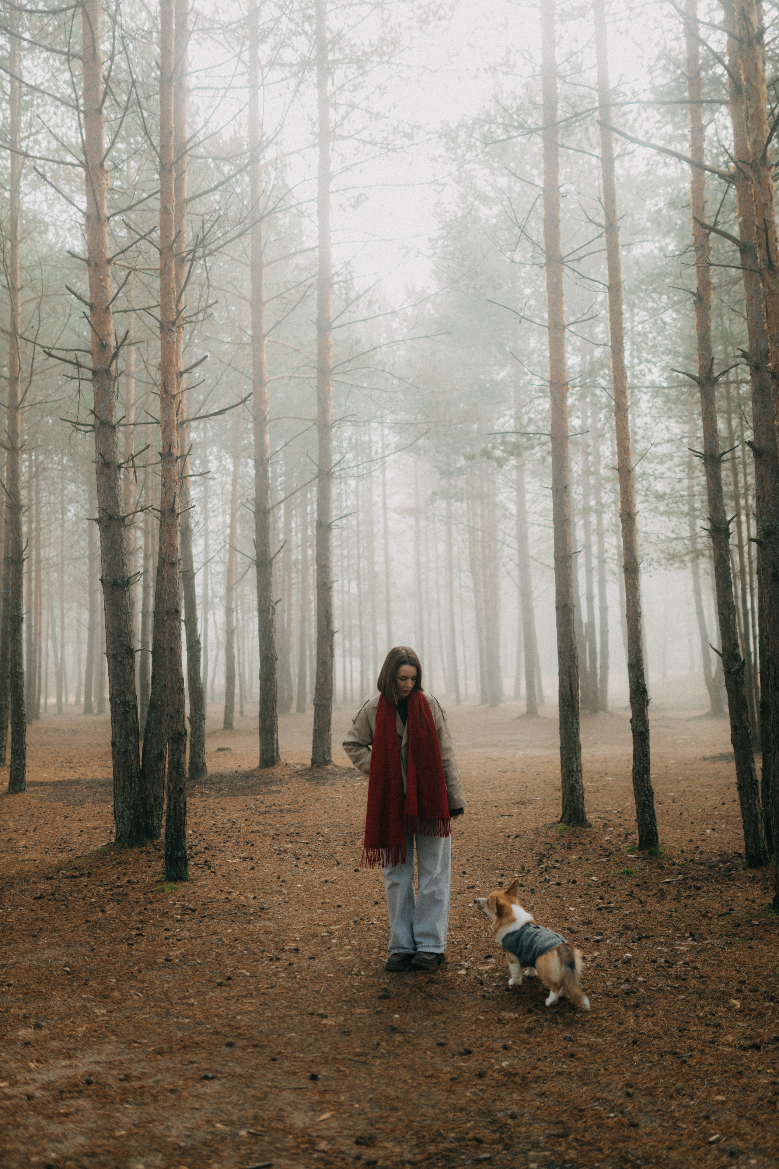 Алина. Фотограф НОГИНСК, Москва, Анастасия Белая
