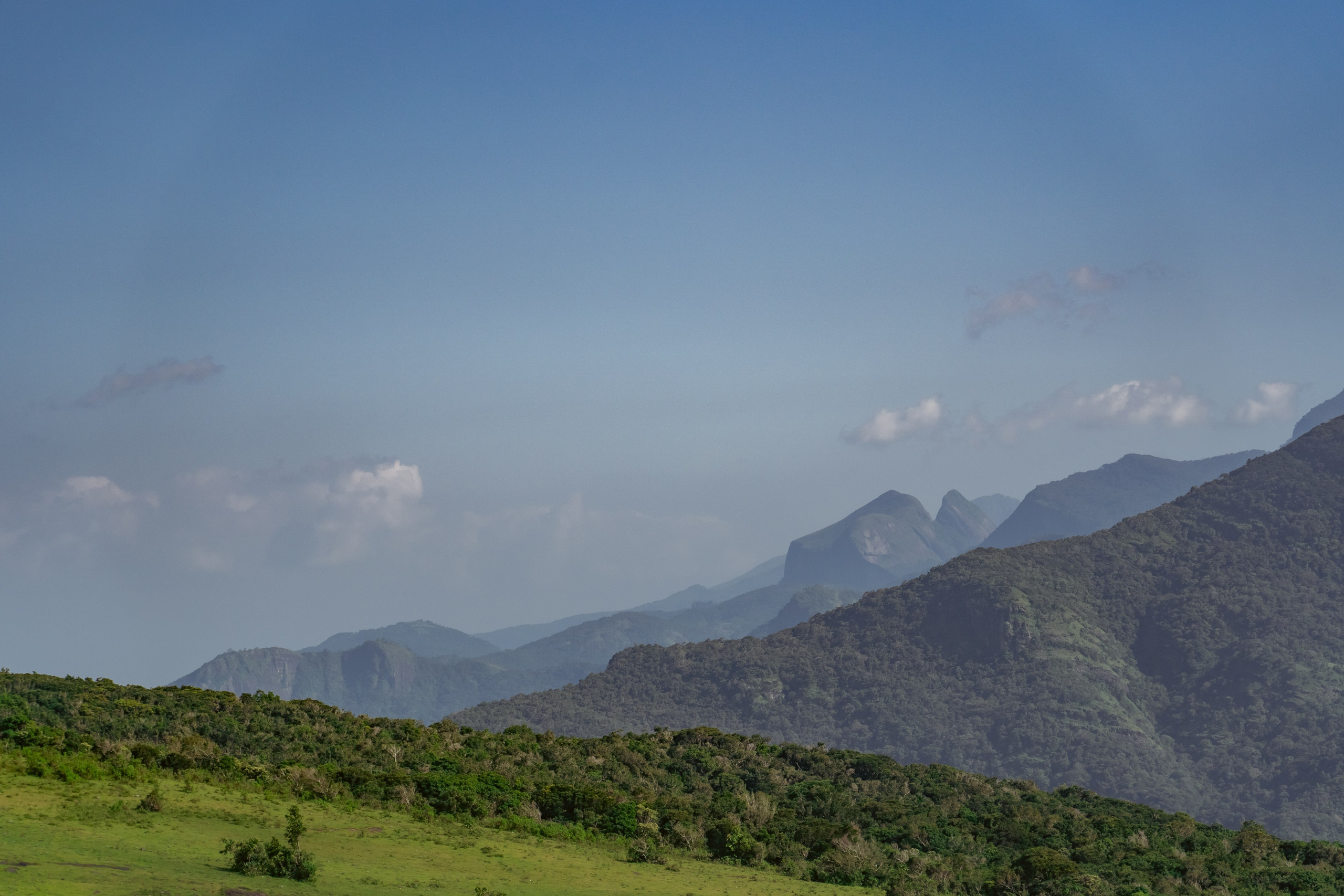 Promo content shooting for Ceylon Forward Tours