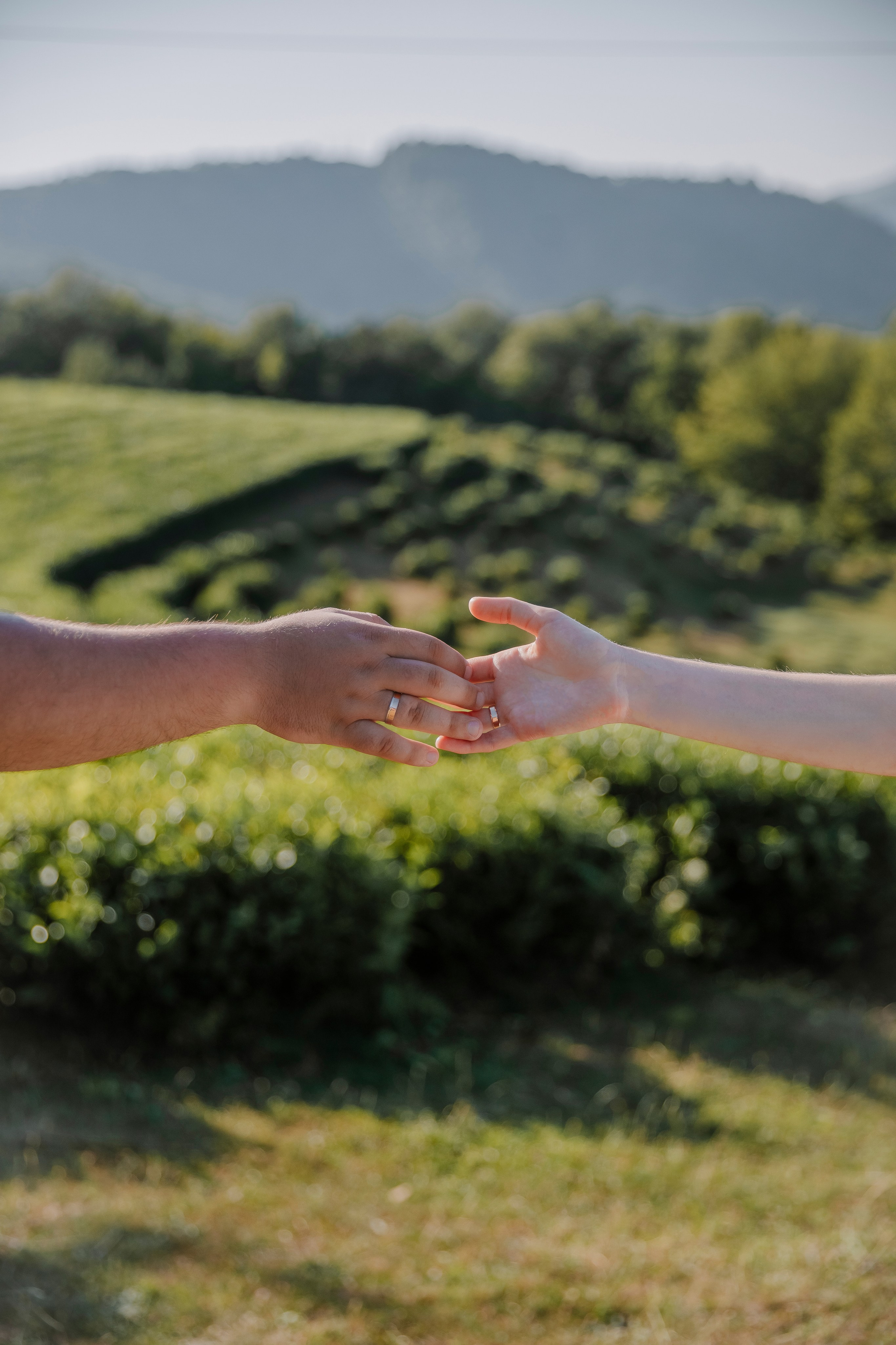 Плантации. Семейный фотограф Якимова Полина в Сочи
