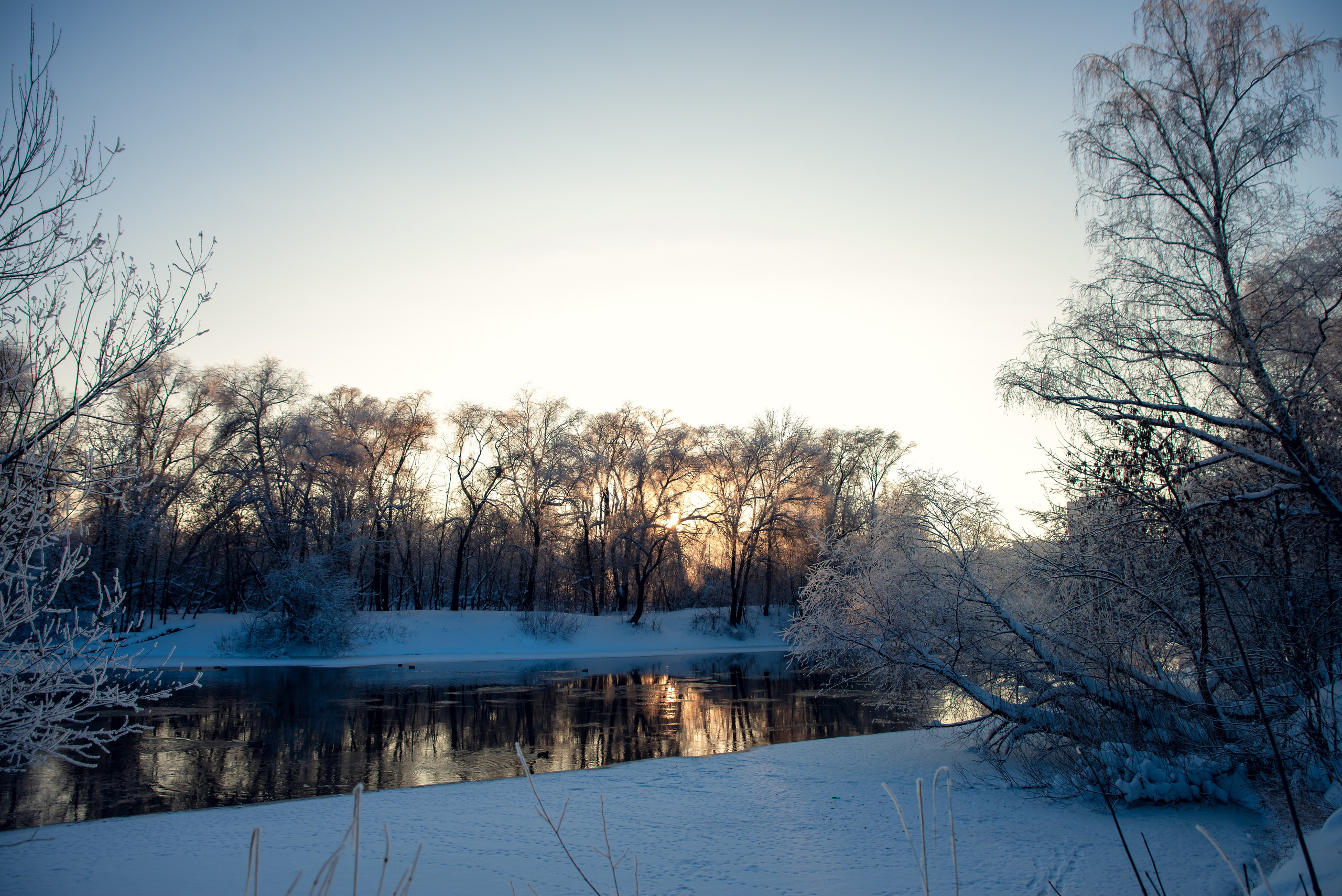 Зимушка зима. Фотограф Крещение Венчание Москва