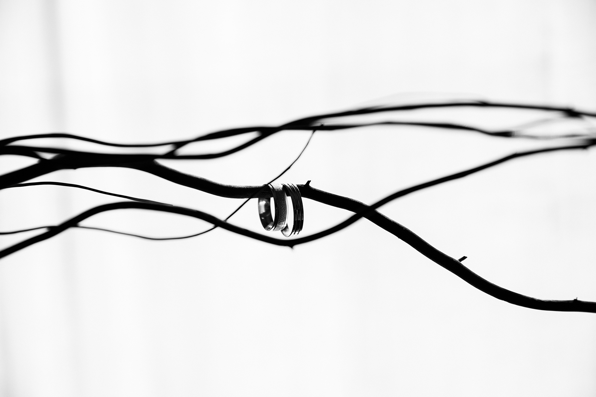 Свадьба в Алматы Home Club. Свадебный фотограф в Алматы Николай Киреев