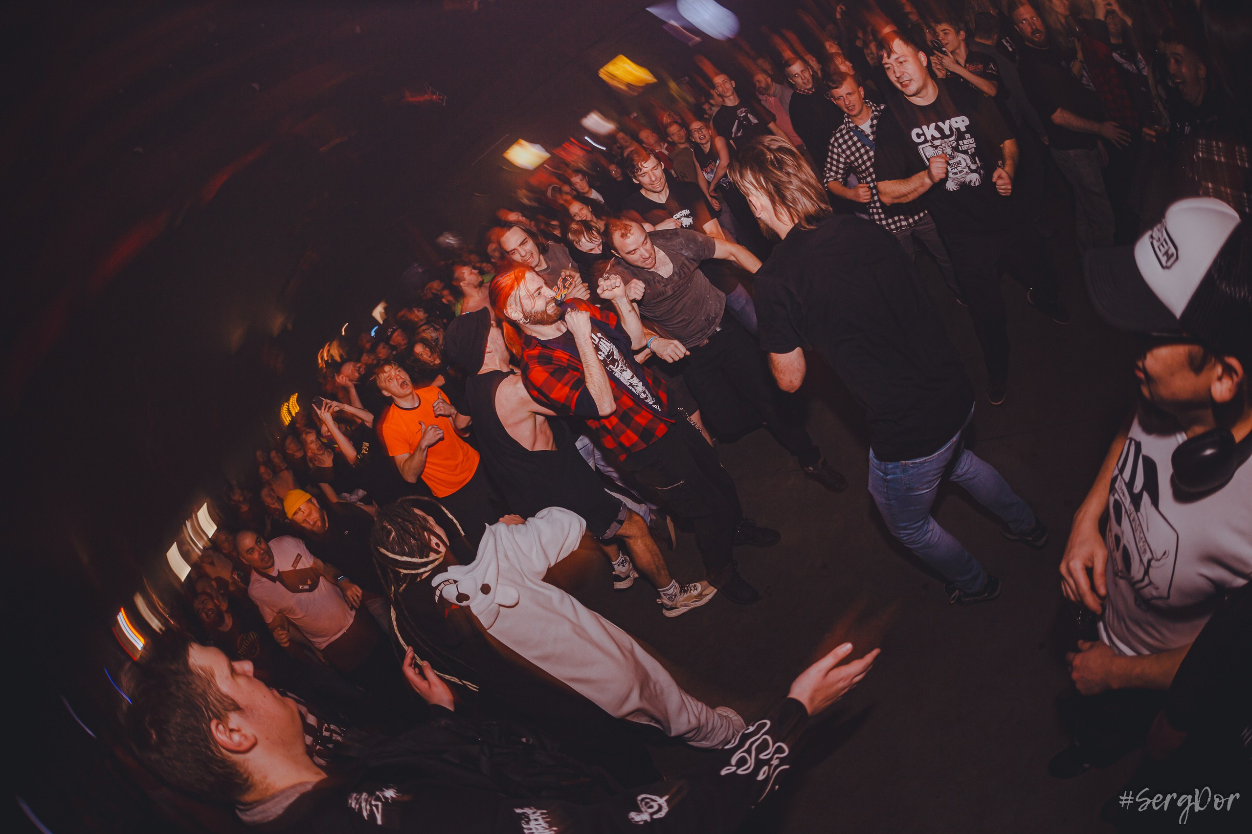 Sound Punk festival. Winter edition, клуб Sound, фестиваль, 03.01.2025, SergDor, 3 января 2025 года,  #SergDor, скоты