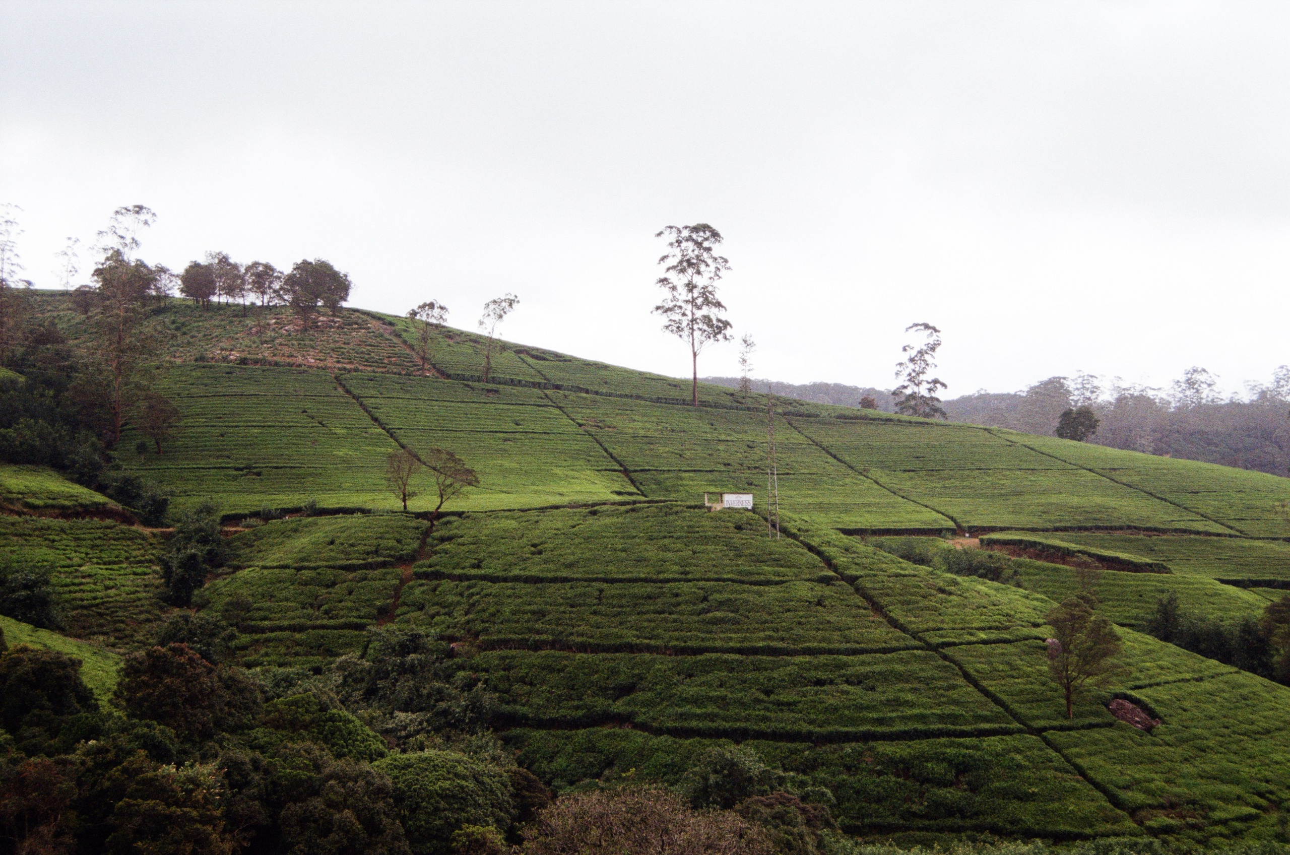 Пленка. Главная