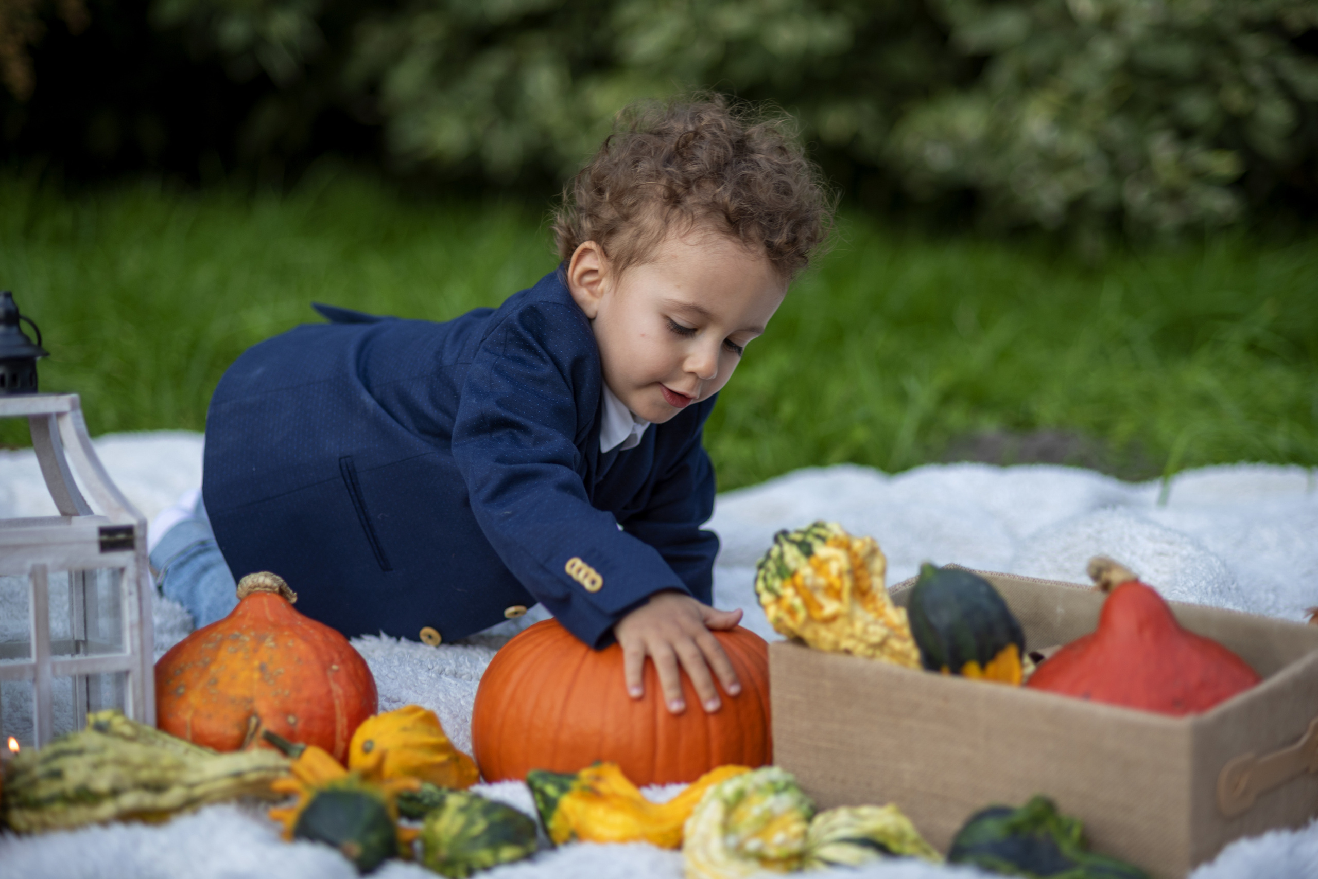 Maluch. Fotograf w Krakowie Irina Satserdova