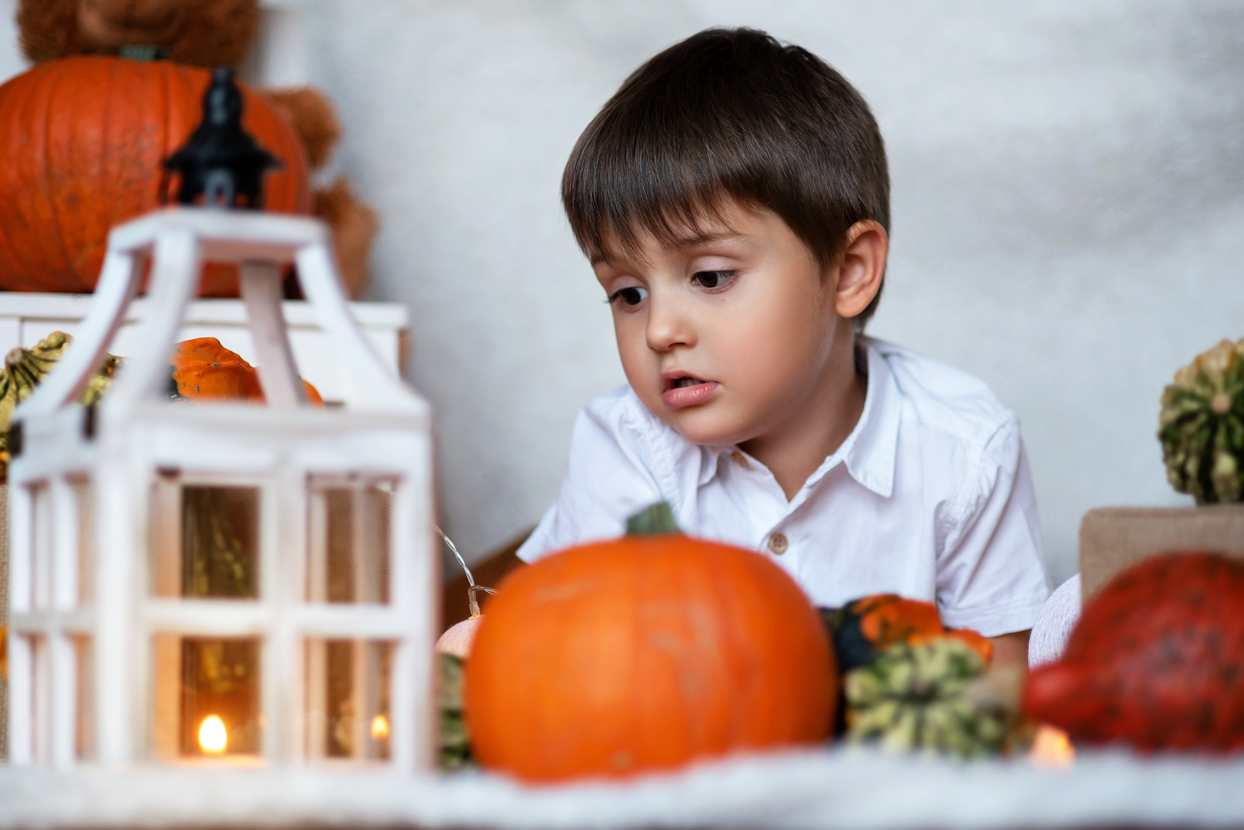 В тыквах. Фотограф Краков и Малопольска